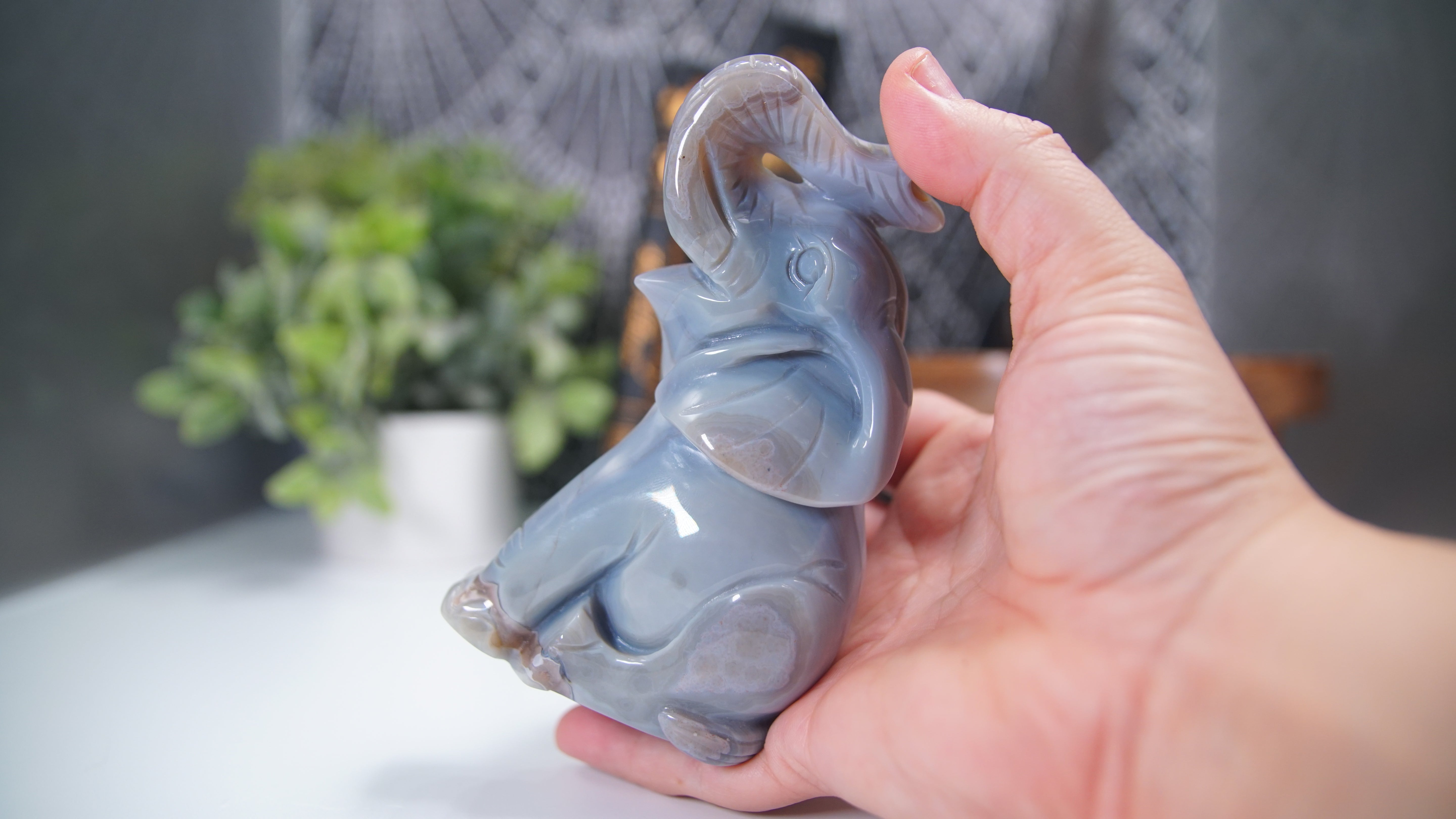 Druzy Agate Amethyst Sitting Elephant Boutique Carving