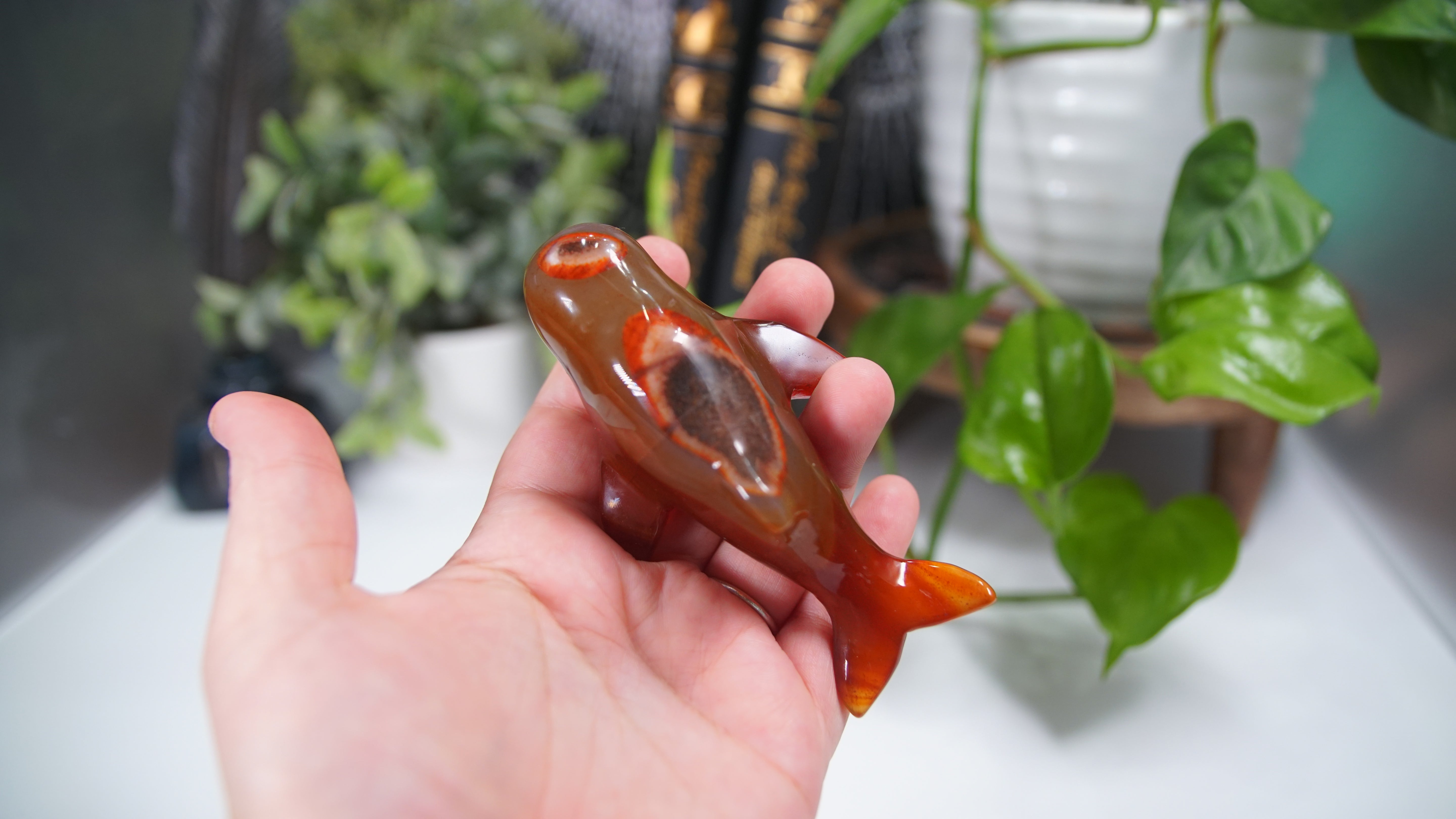 Carnelian Whale Boutique Carving