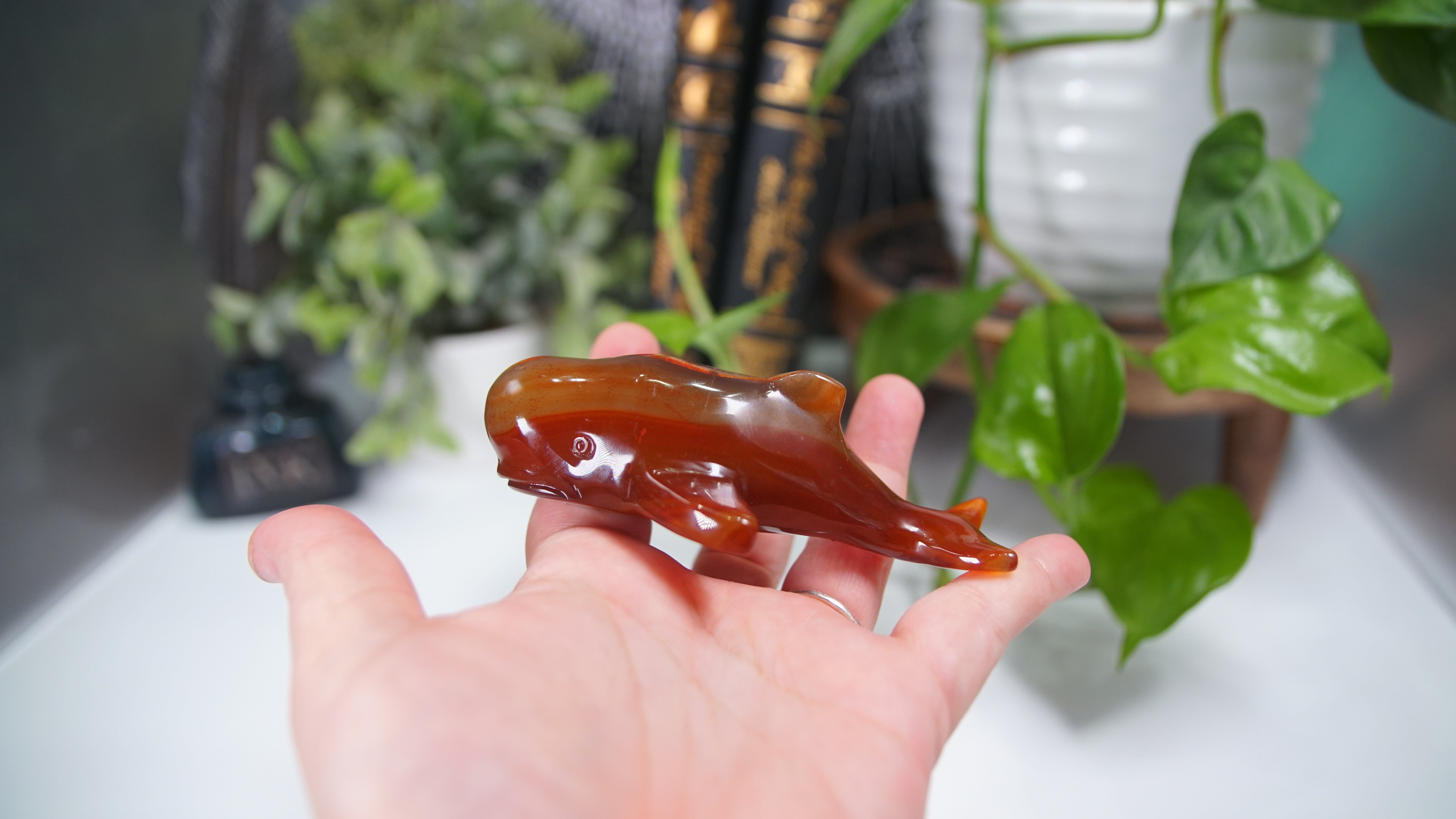Carnelian Whale Boutique Carving