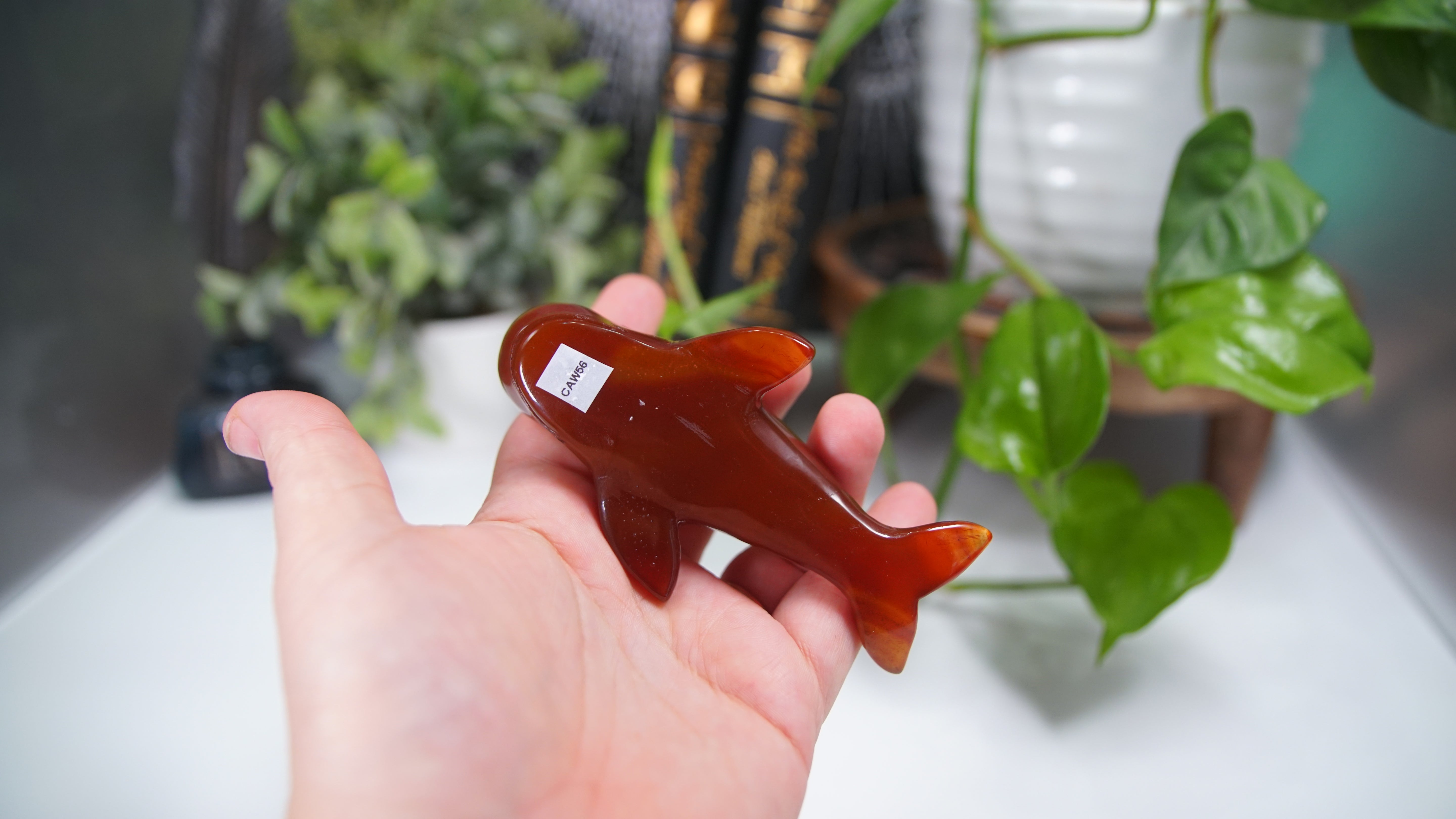 Carnelian Whale Boutique Carving