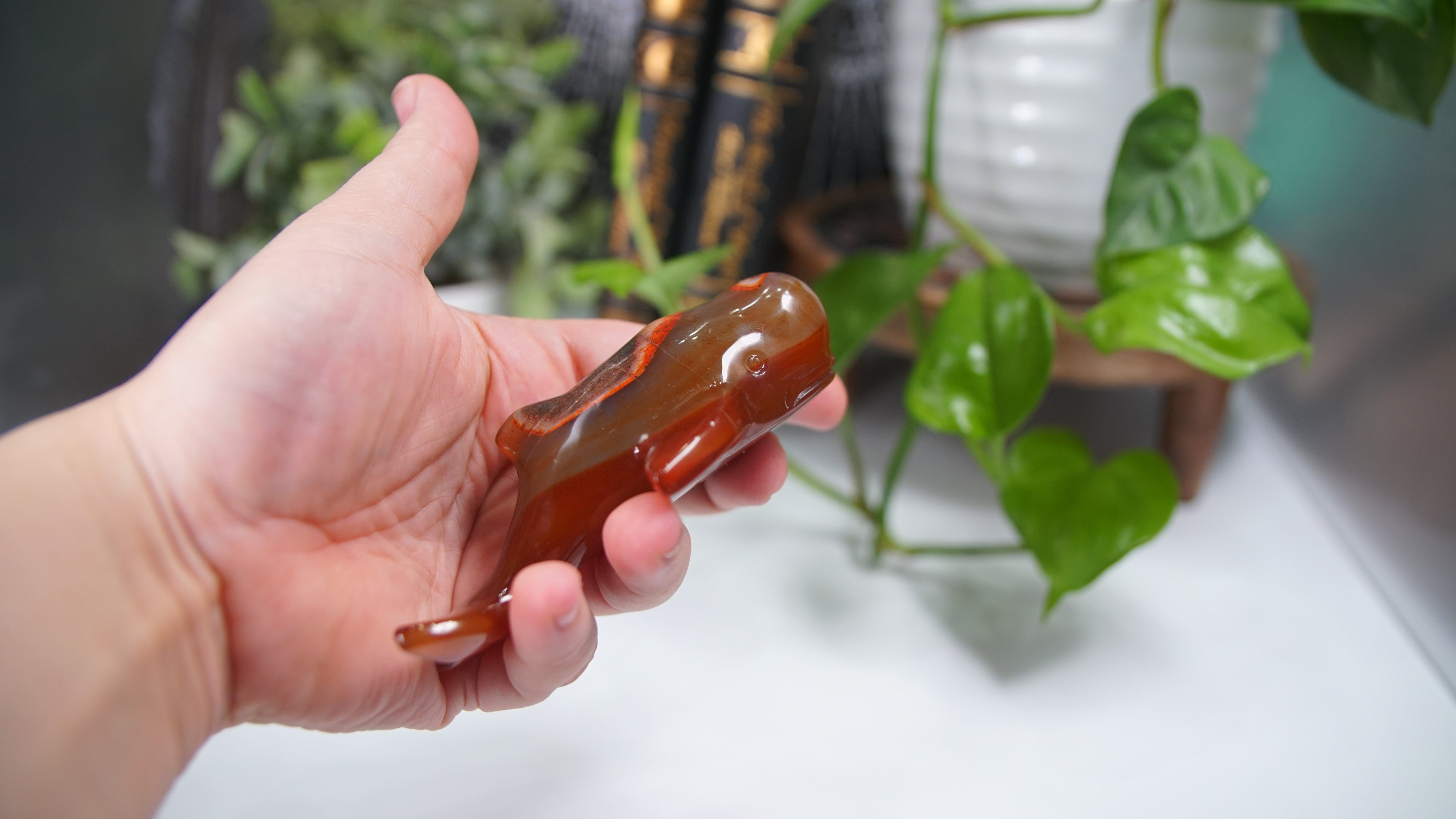 Carnelian Whale Boutique Carving