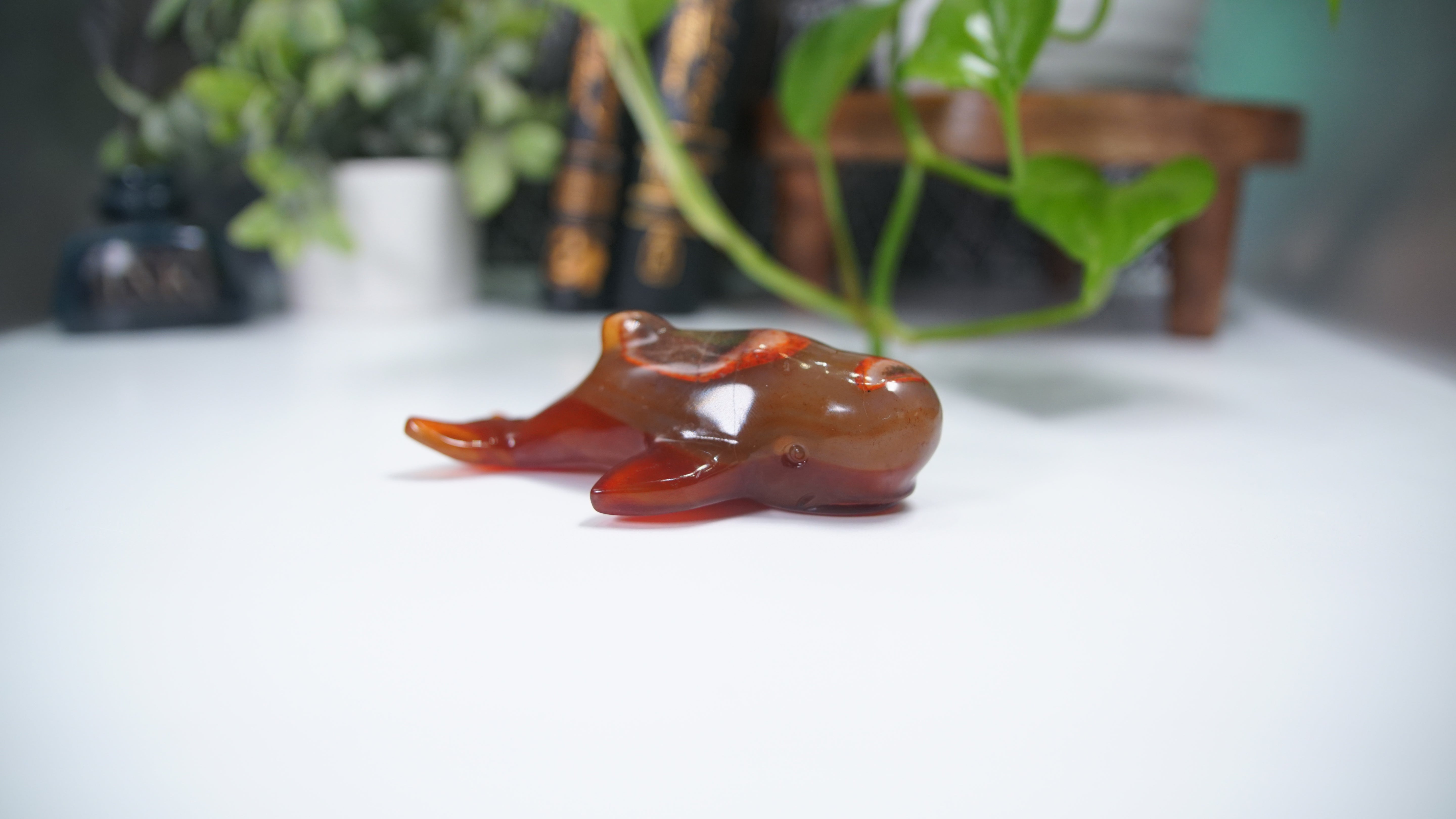 Carnelian Whale Boutique Carving