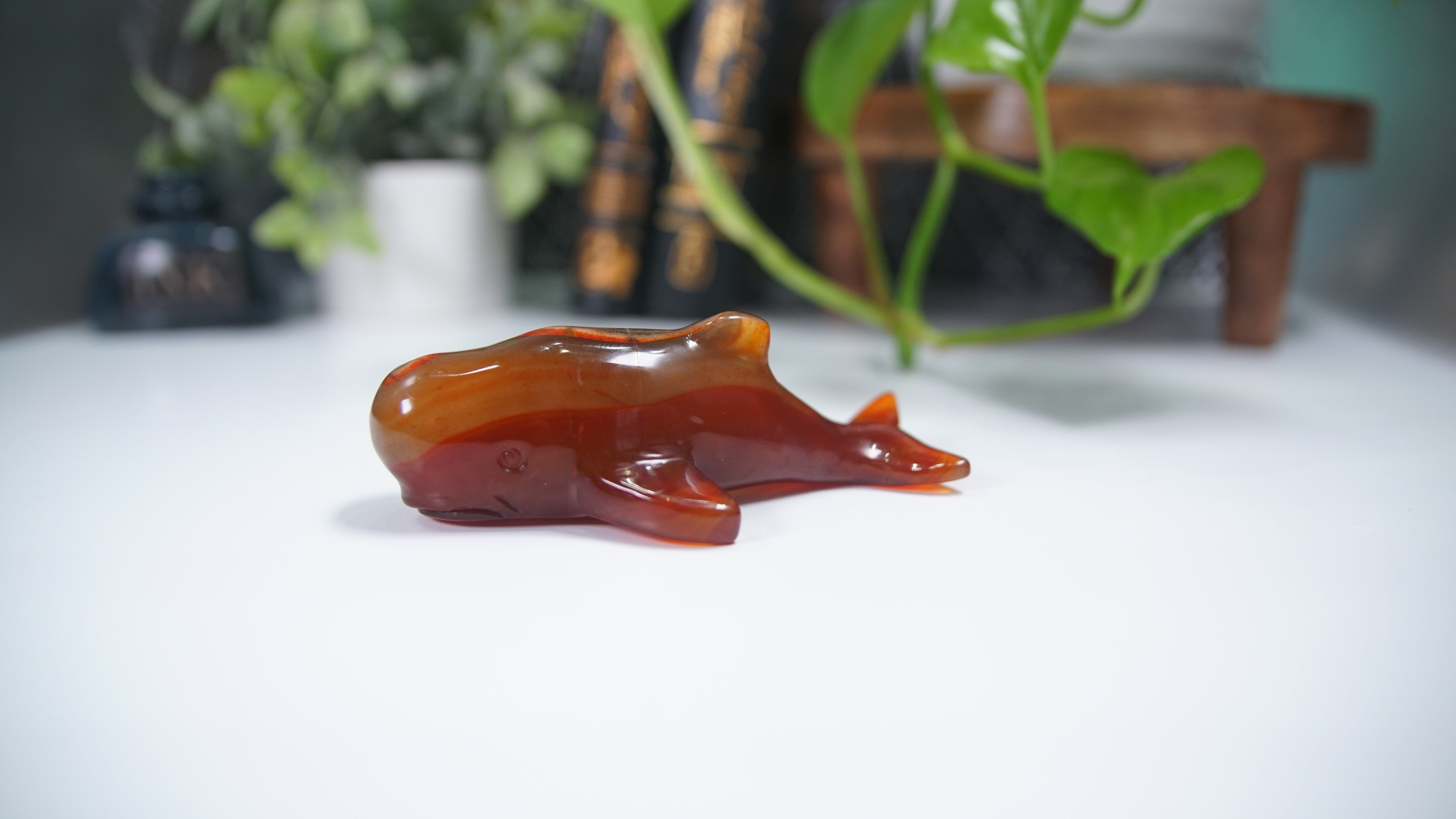 Carnelian Whale Boutique Carving