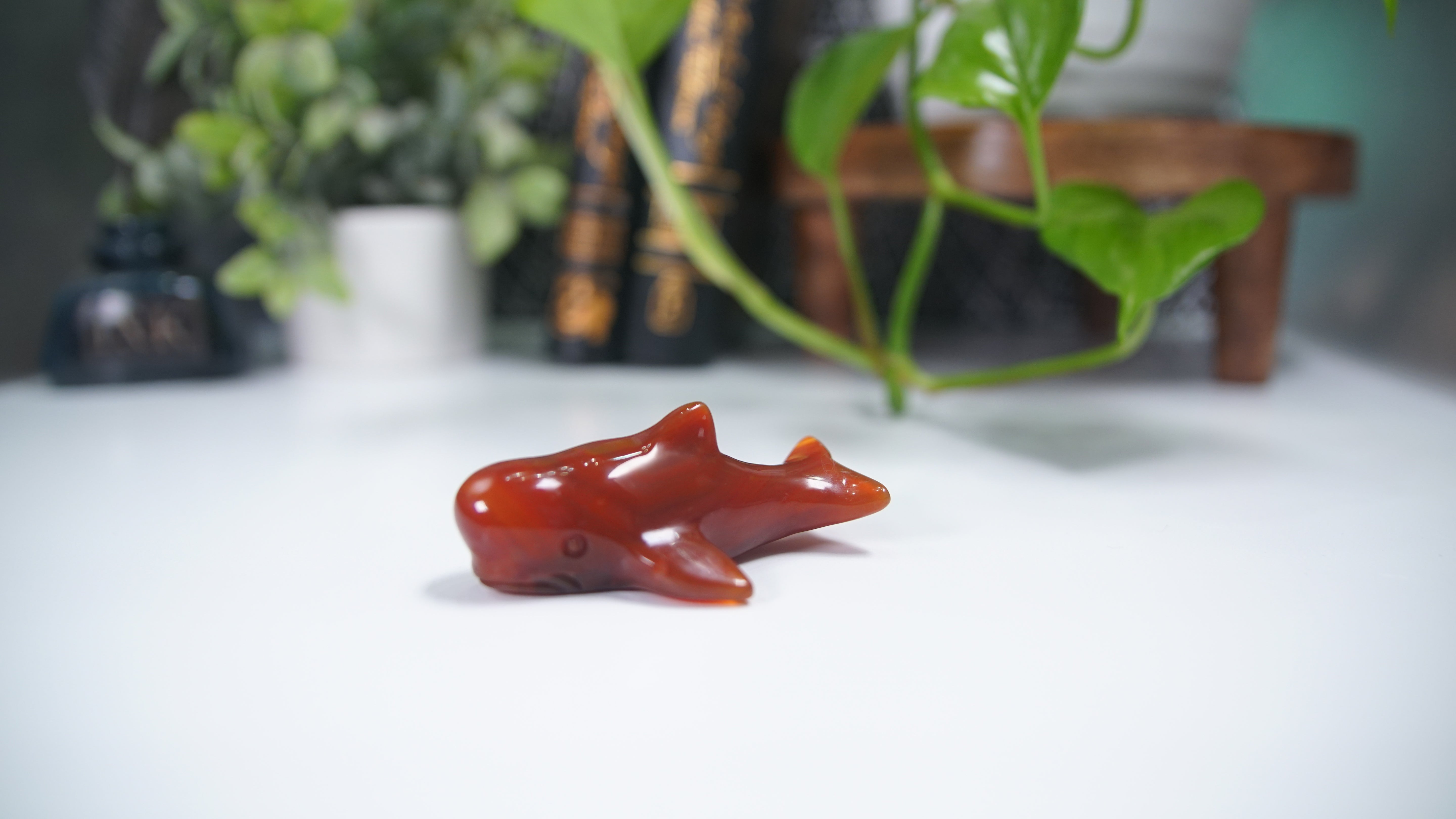 Carnelian Whale Boutique Carving