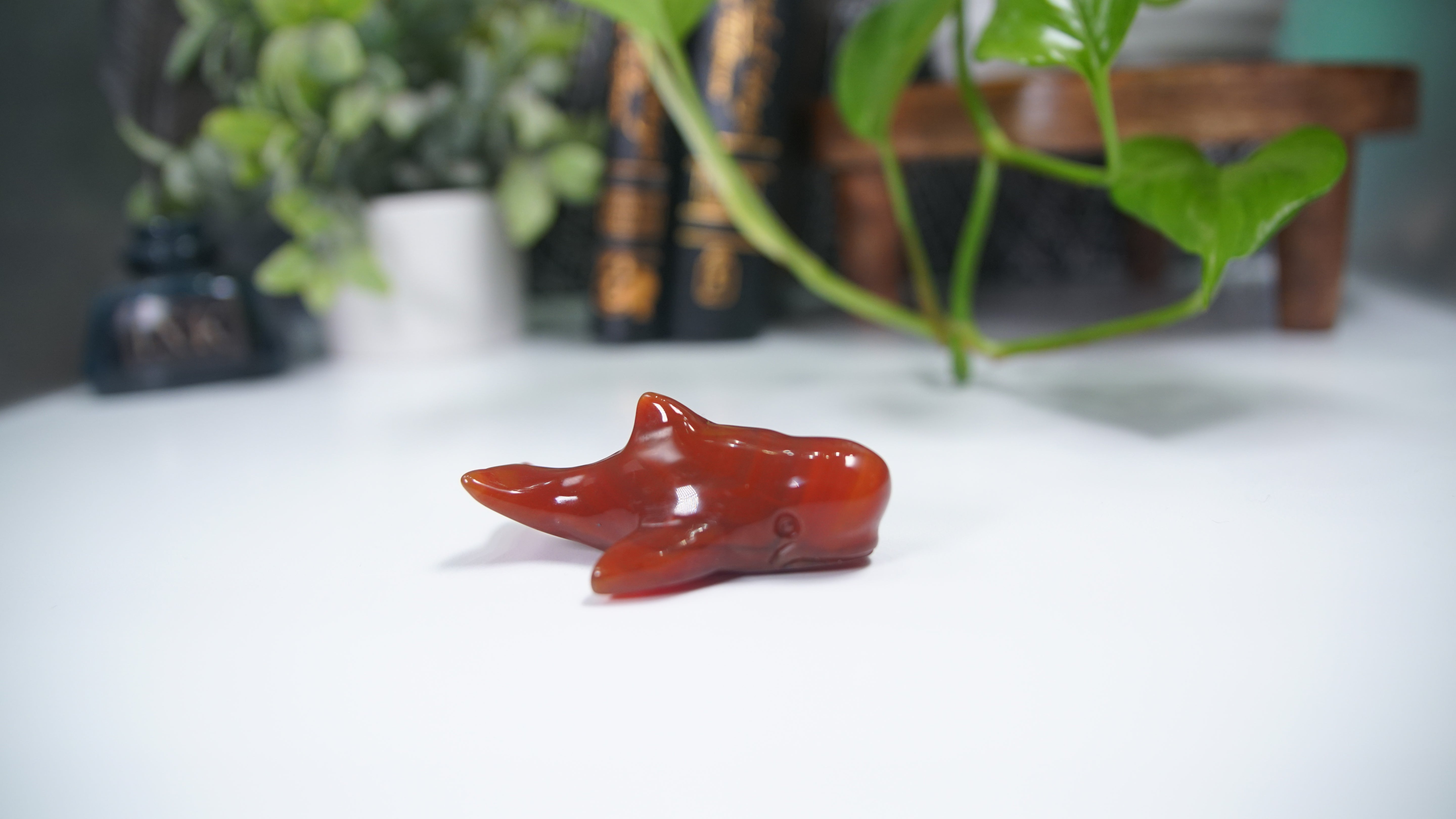 Carnelian Whale Boutique Carving
