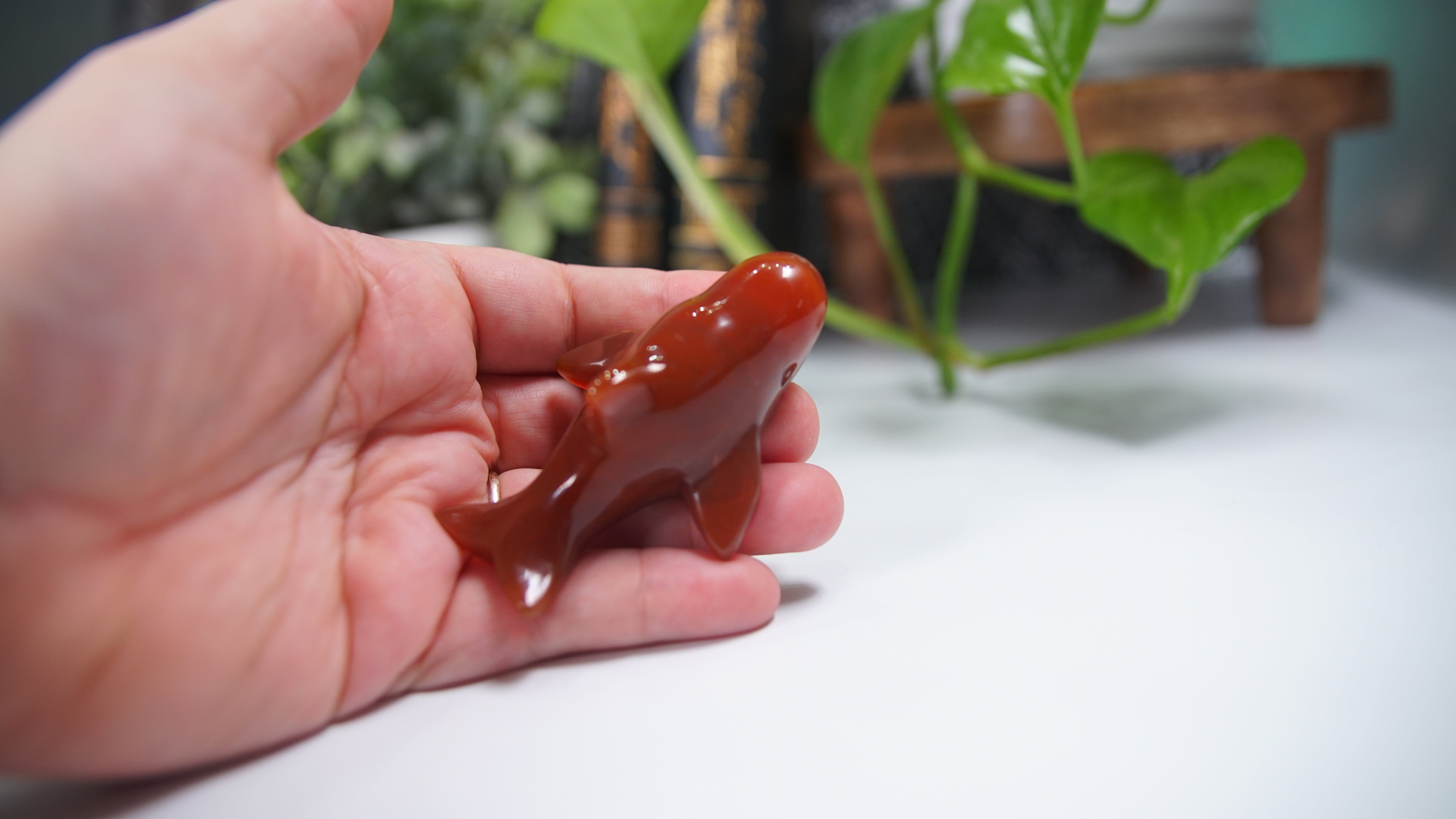 Carnelian Whale Boutique Carving