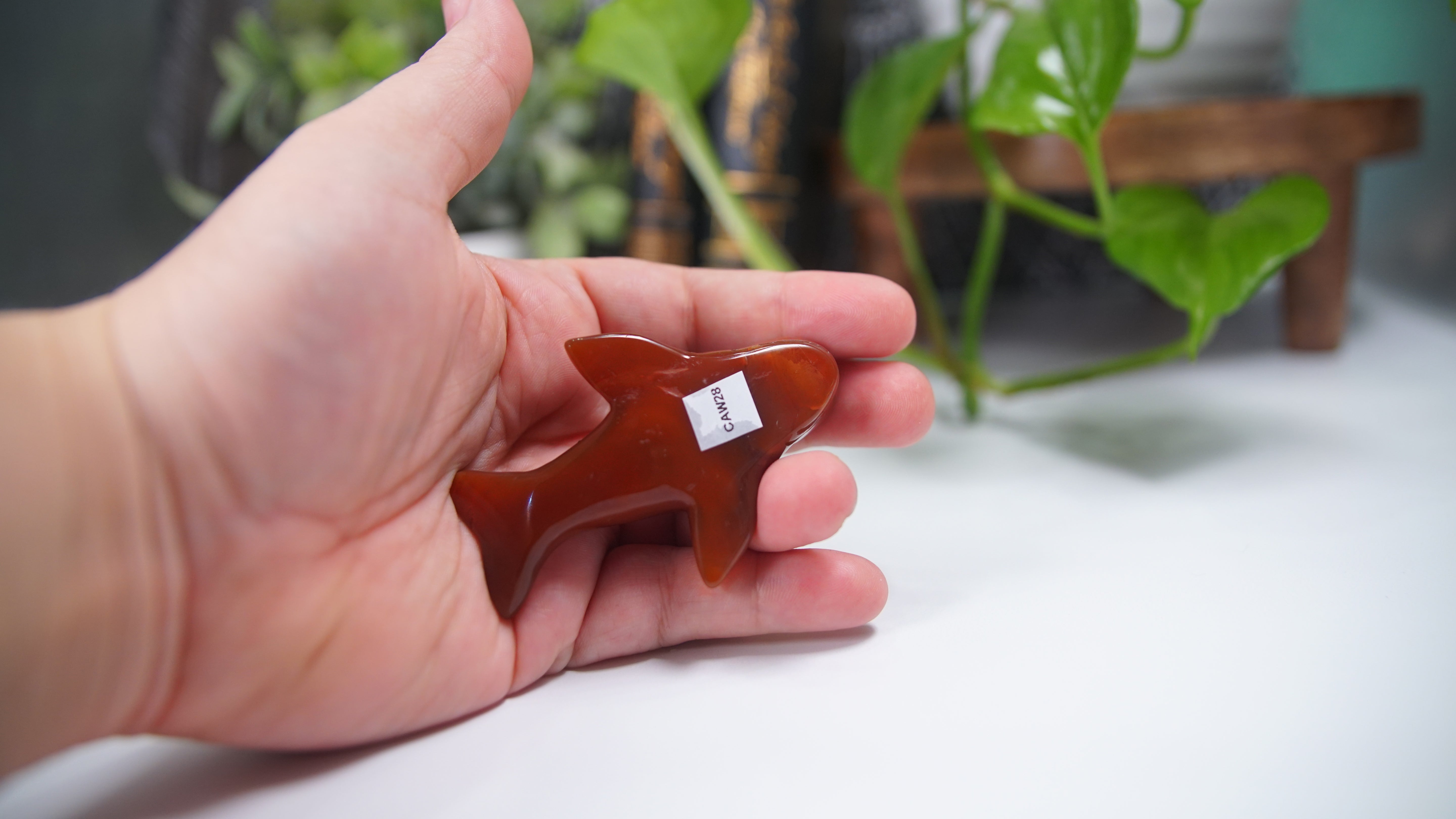 Carnelian Whale Boutique Carving