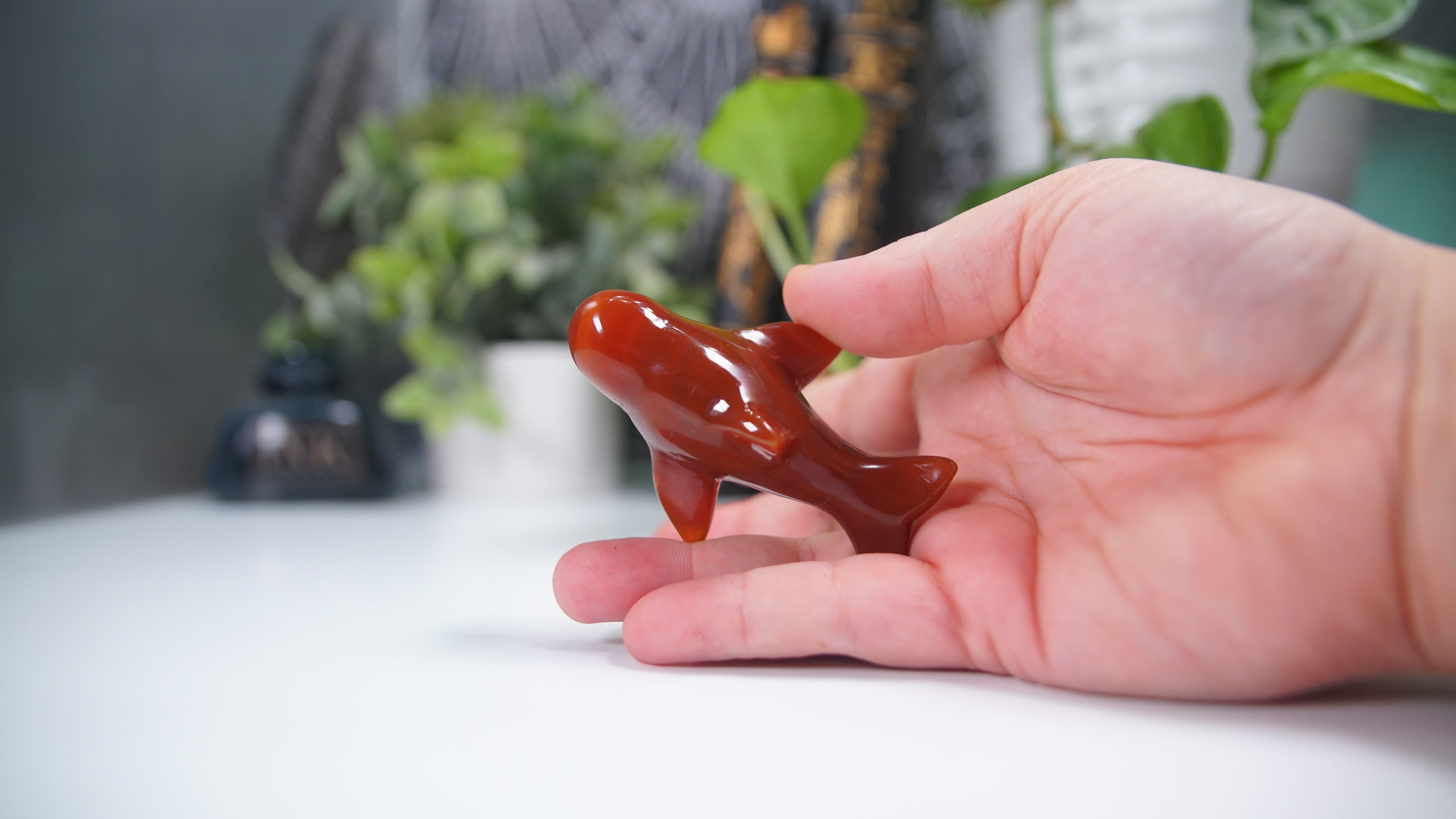 Carnelian Whale Boutique Carving