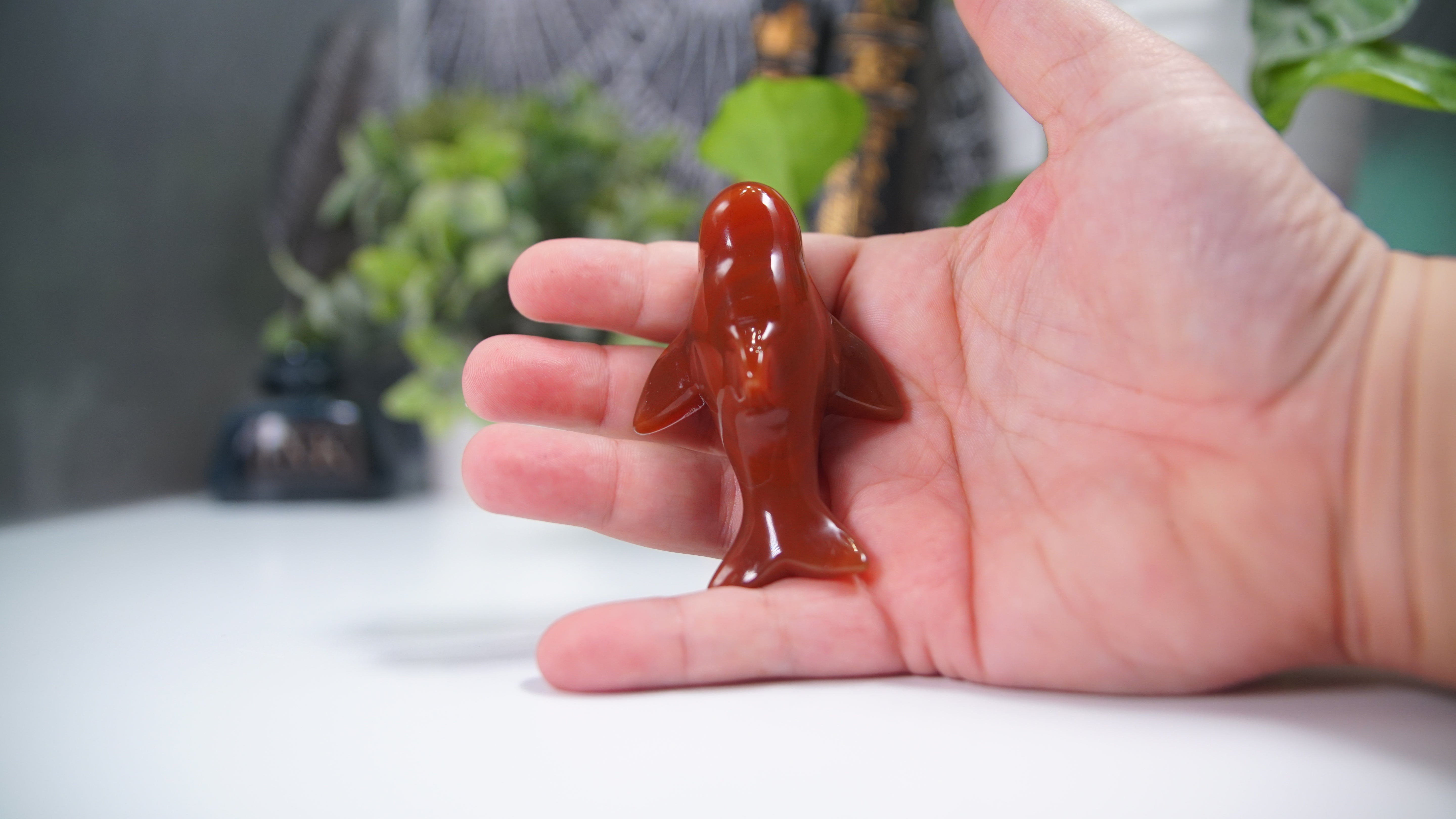 Carnelian Whale Boutique Carving