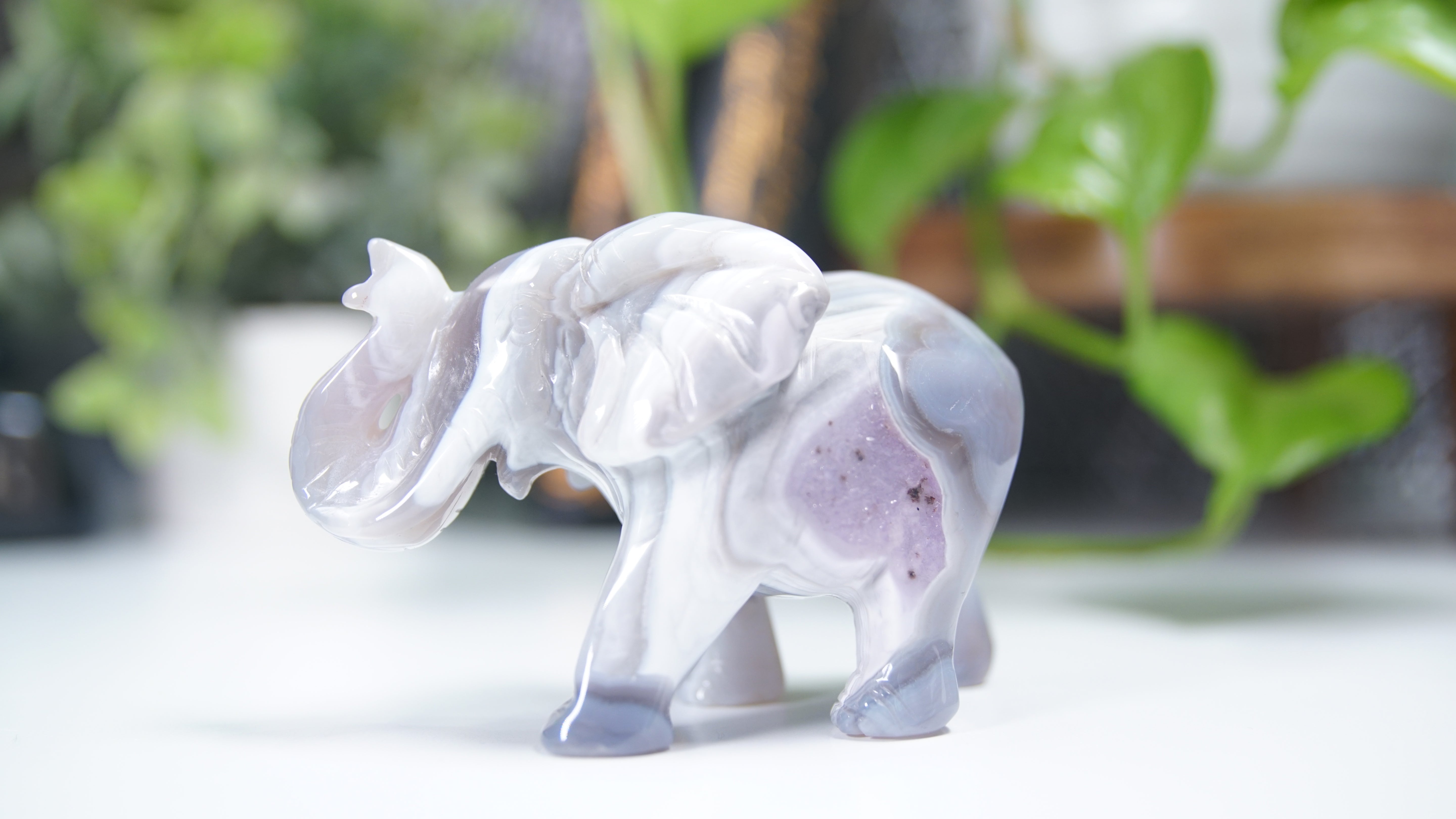 Druzy Agate Elephant Boutique Carving