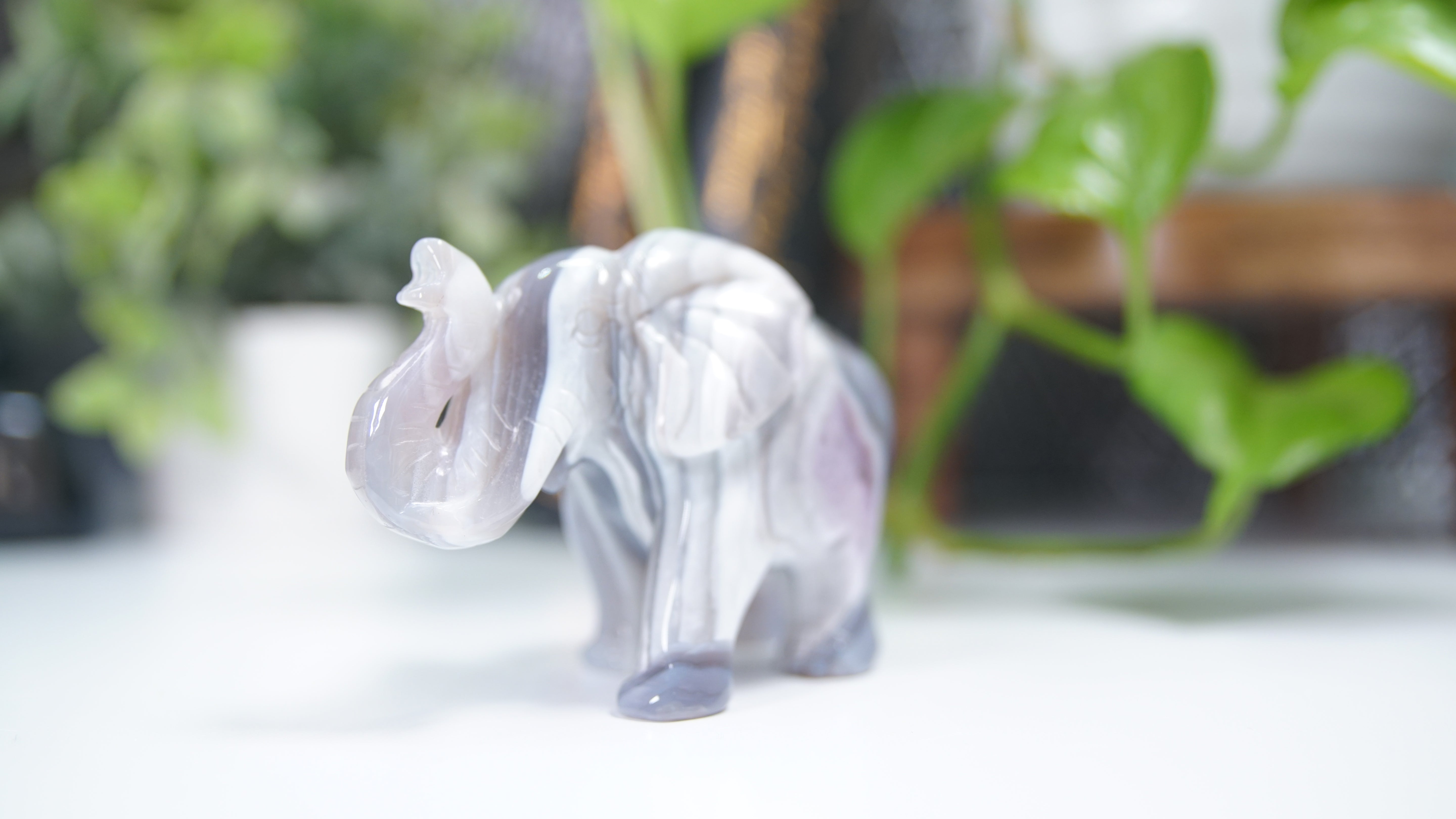 Druzy Agate Elephant Boutique Carving
