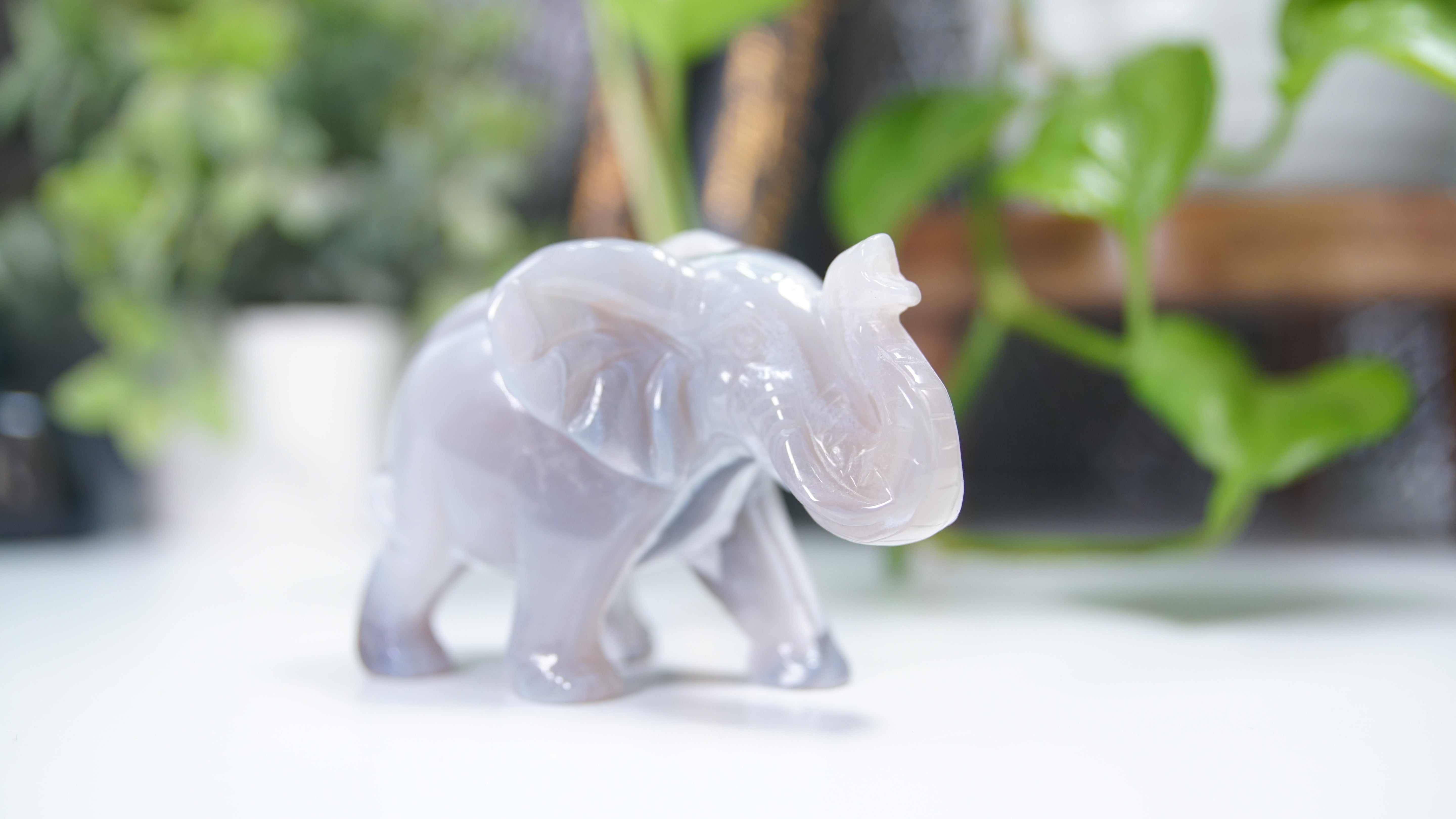 Druzy Agate Elephant Boutique Carving