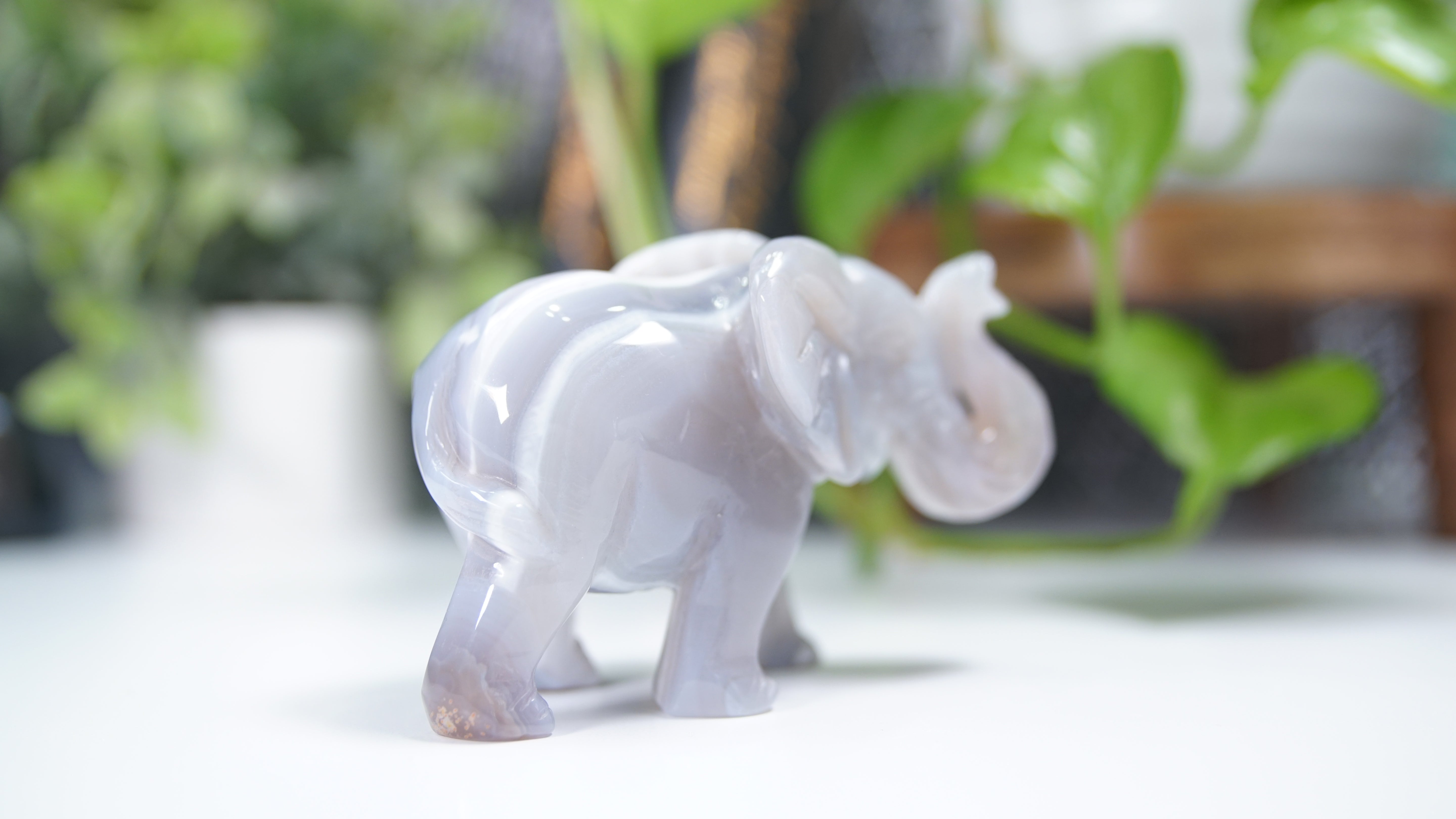 Druzy Agate Elephant Boutique Carving