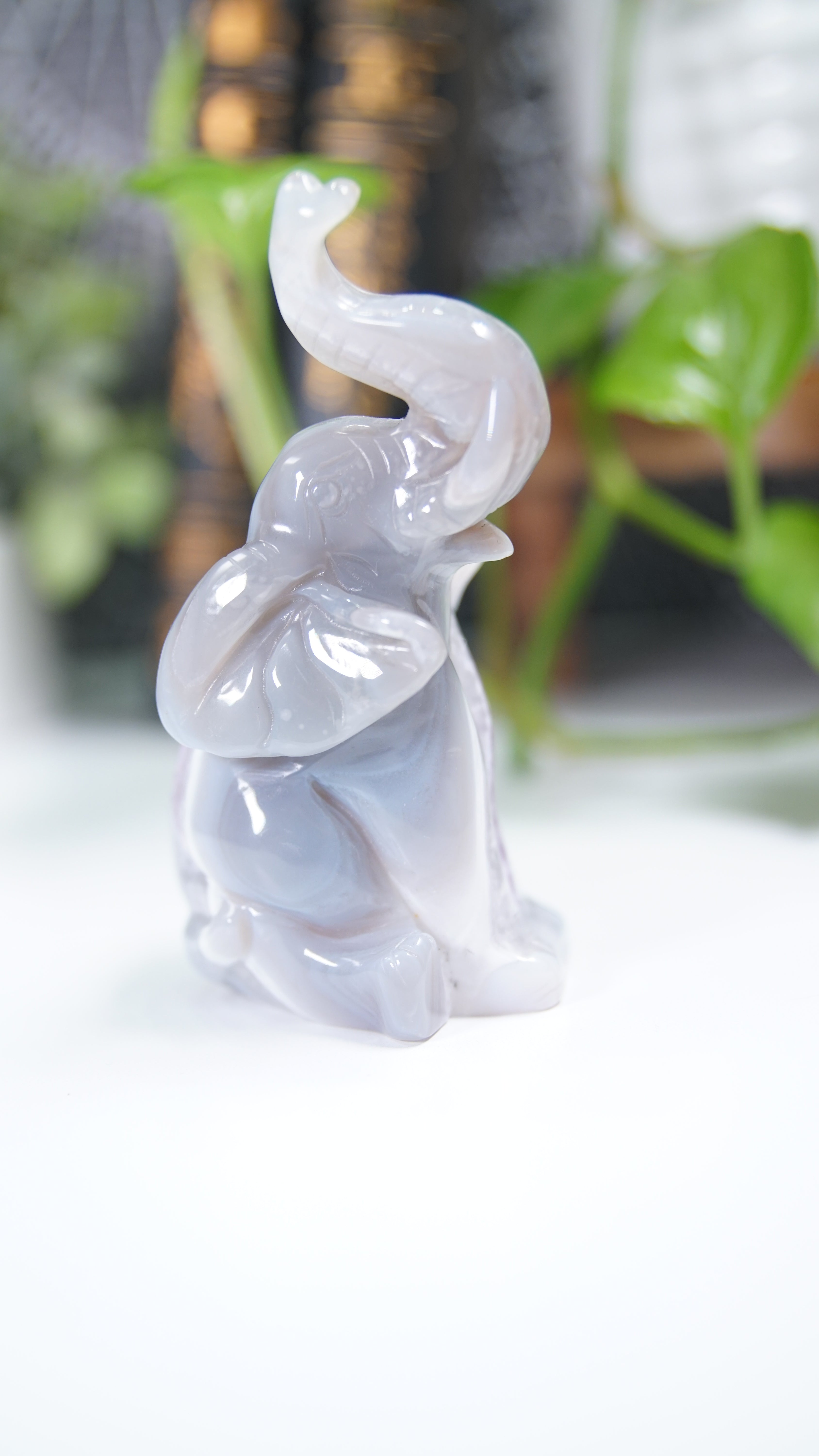 Druzy Agate Amethyst Sitting Elephant Boutique Carving