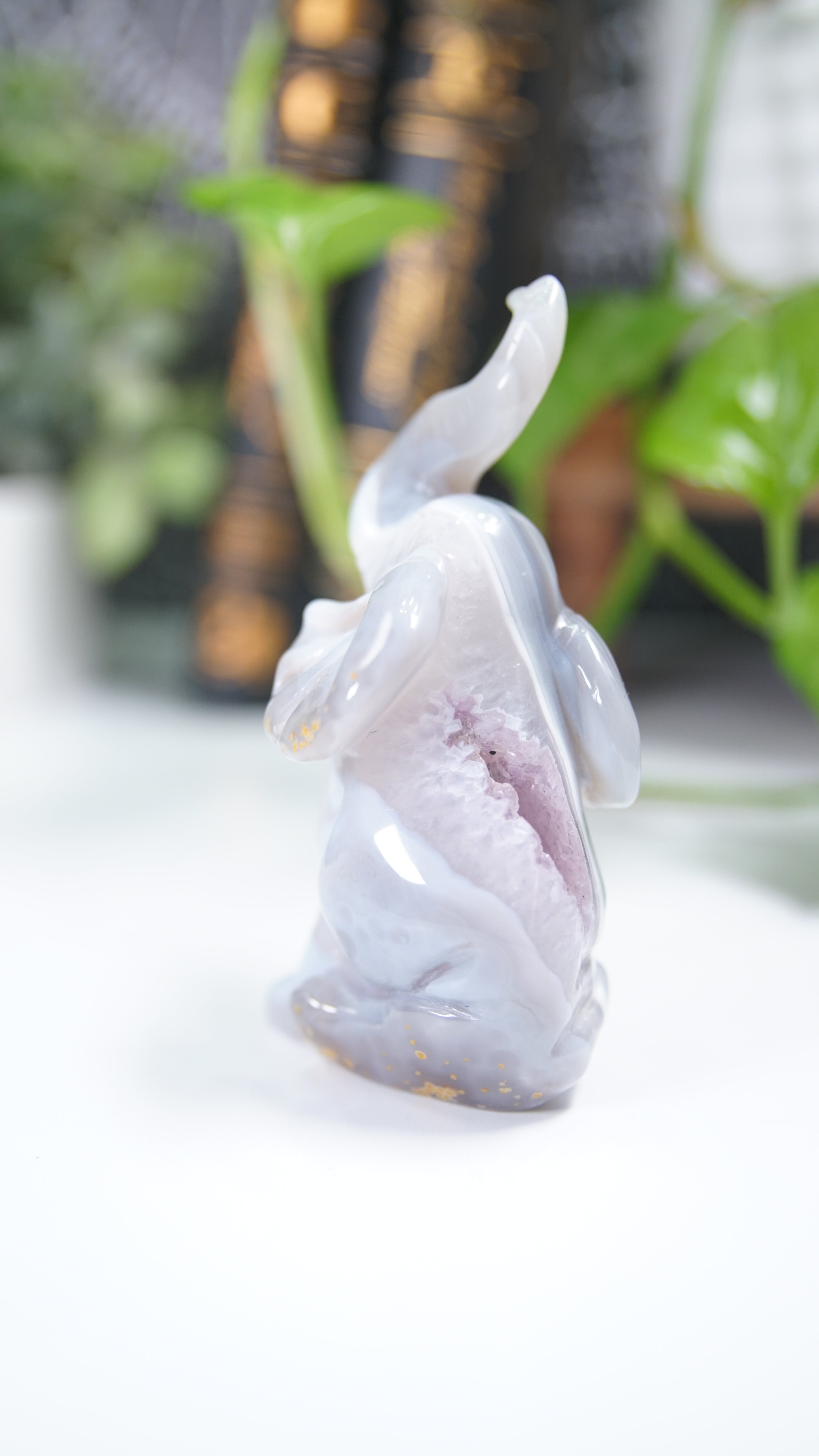 Druzy Agate Amethyst Sitting Elephant Boutique Carving