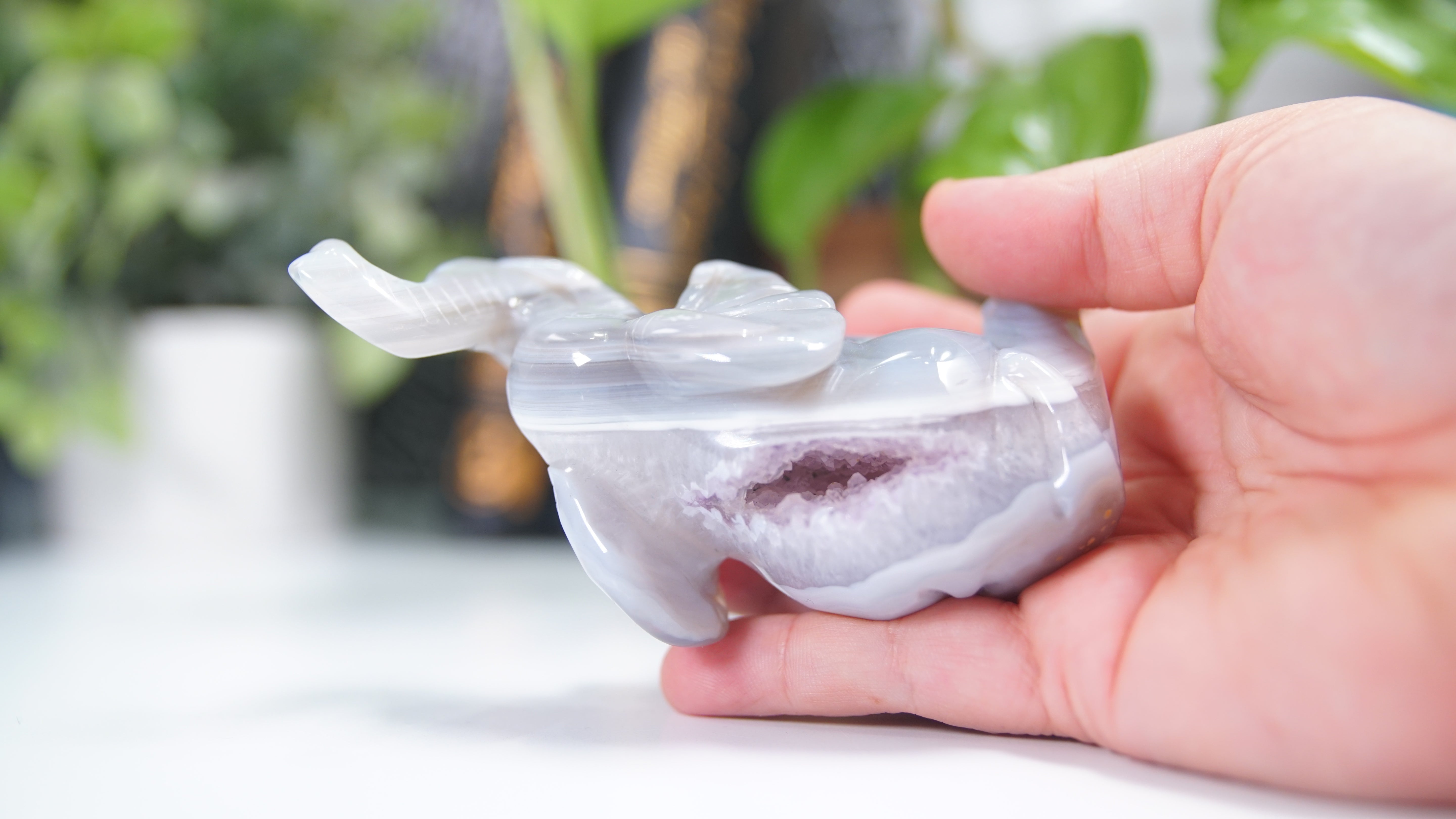 Druzy Agate Amethyst Sitting Elephant Boutique Carving