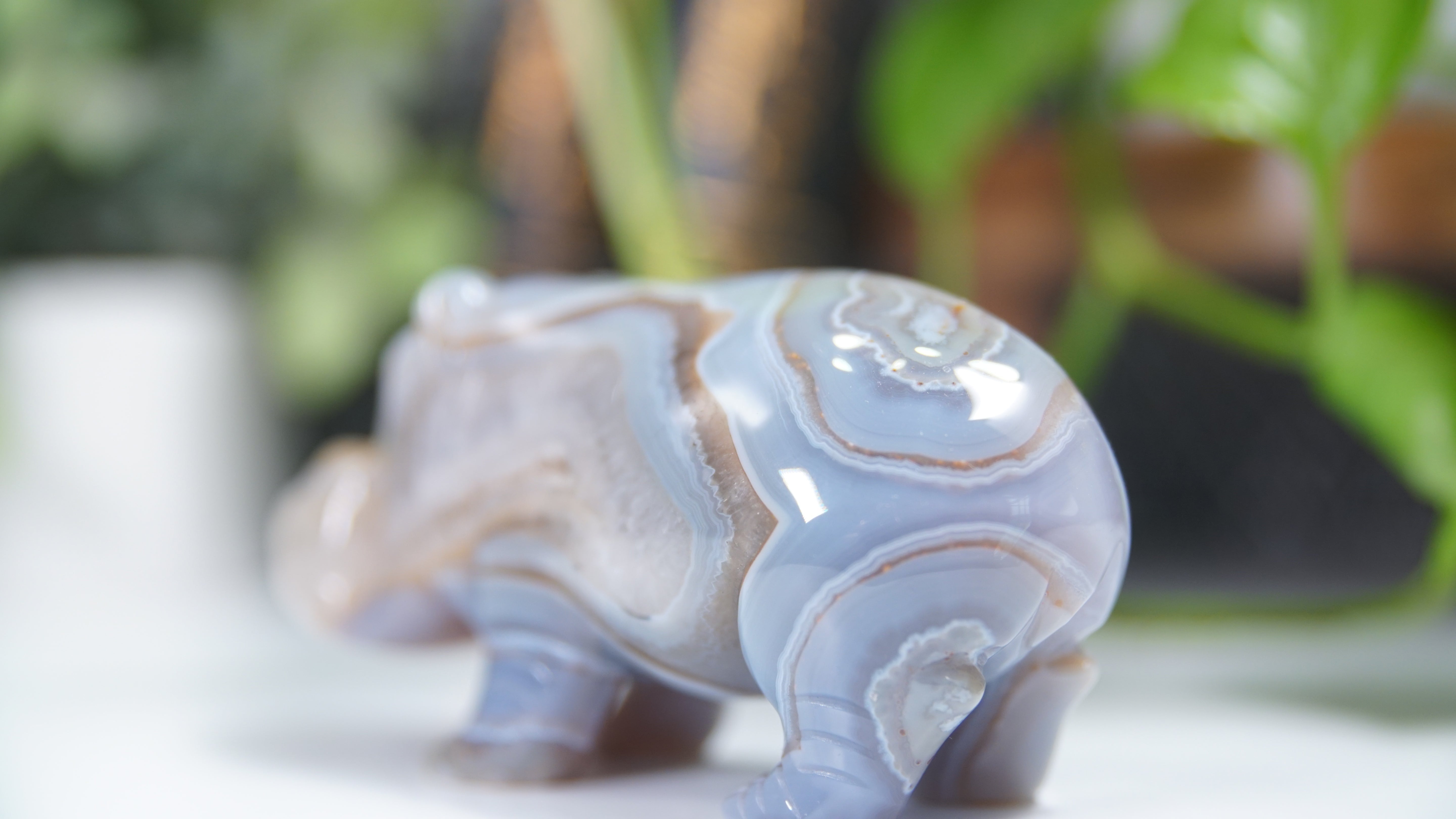 Druzy Agate Hippo Boutique Carving