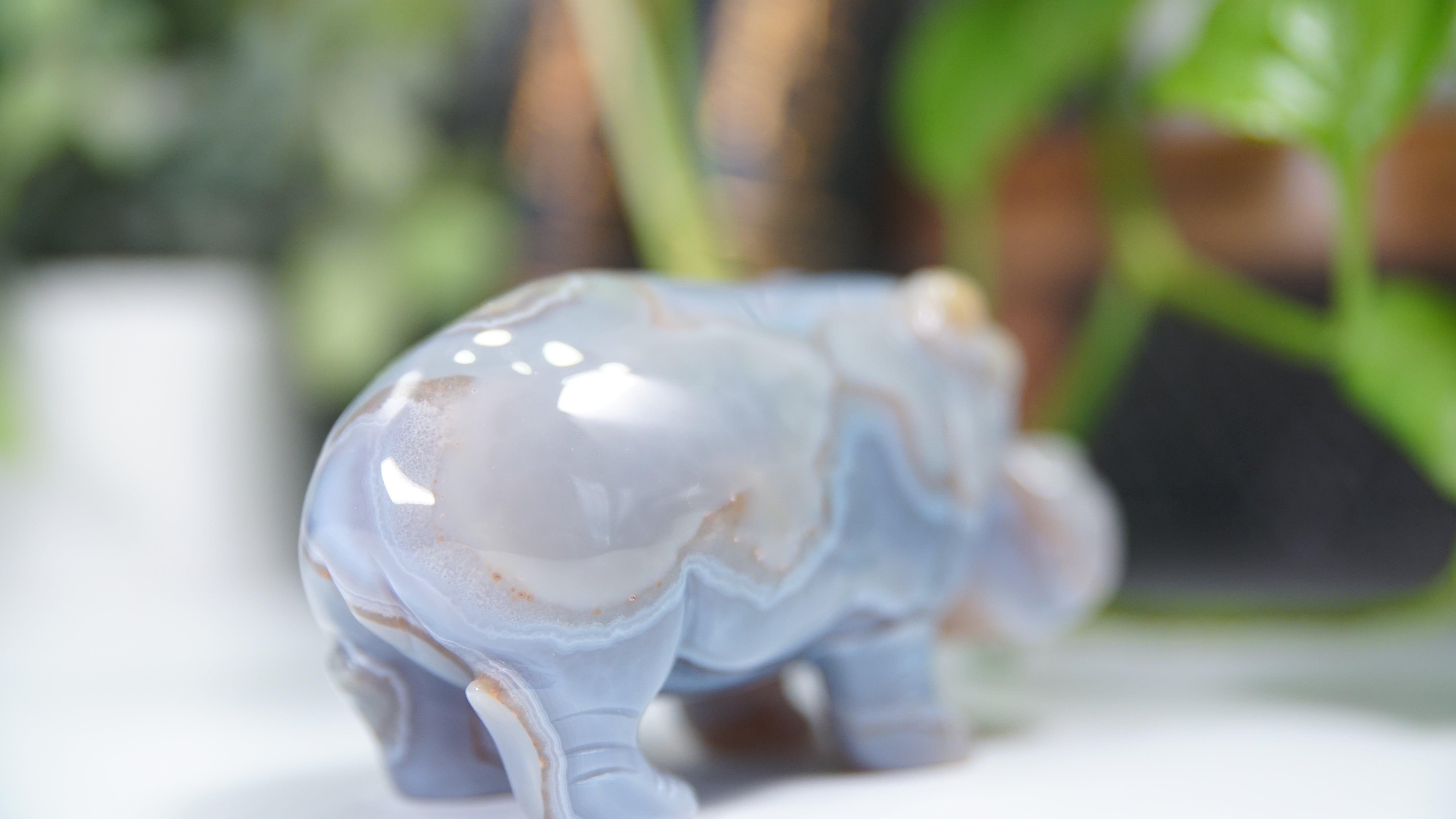 Druzy Agate Hippo Boutique Carving