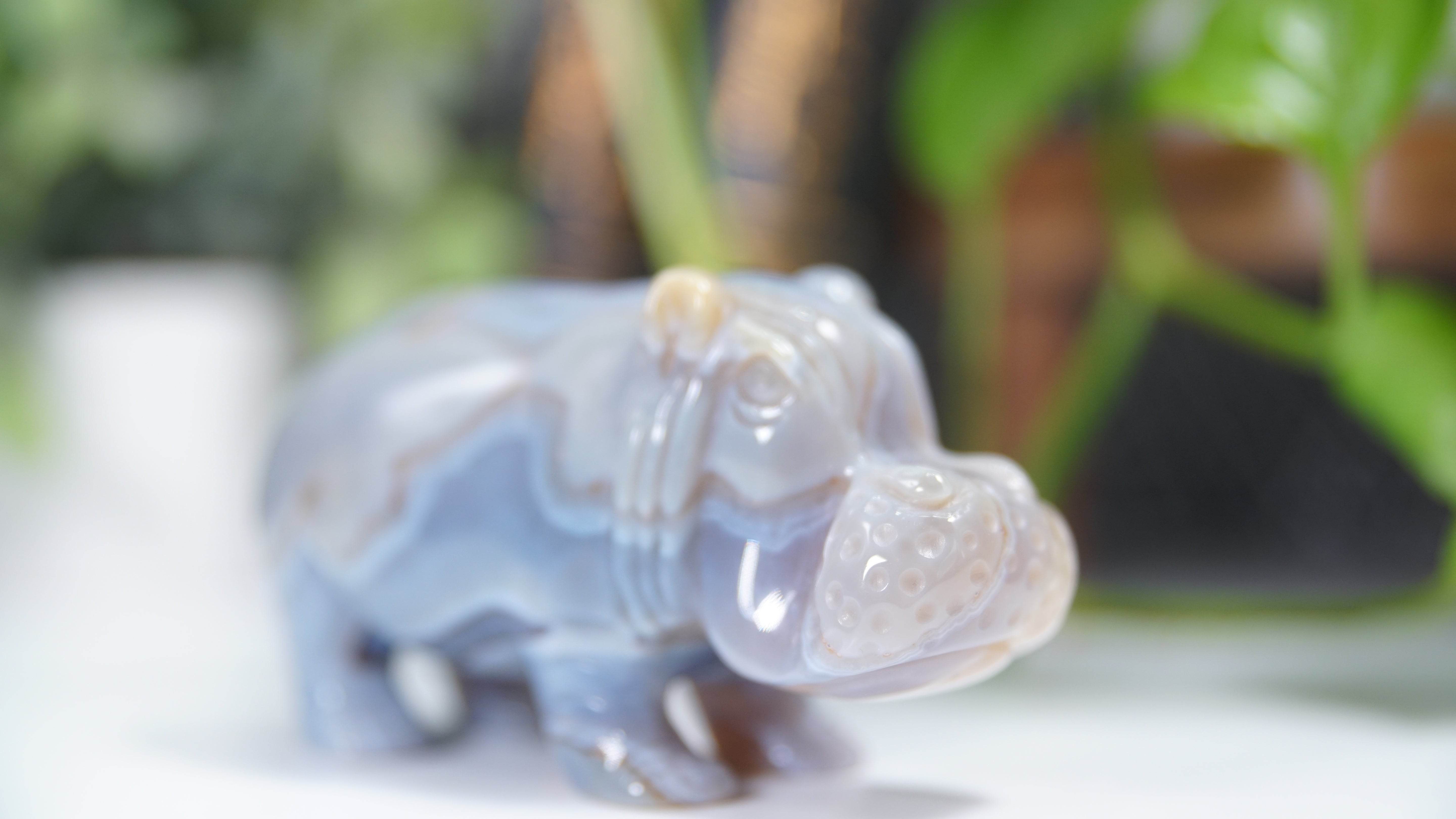 Druzy Agate Hippo Boutique Carving