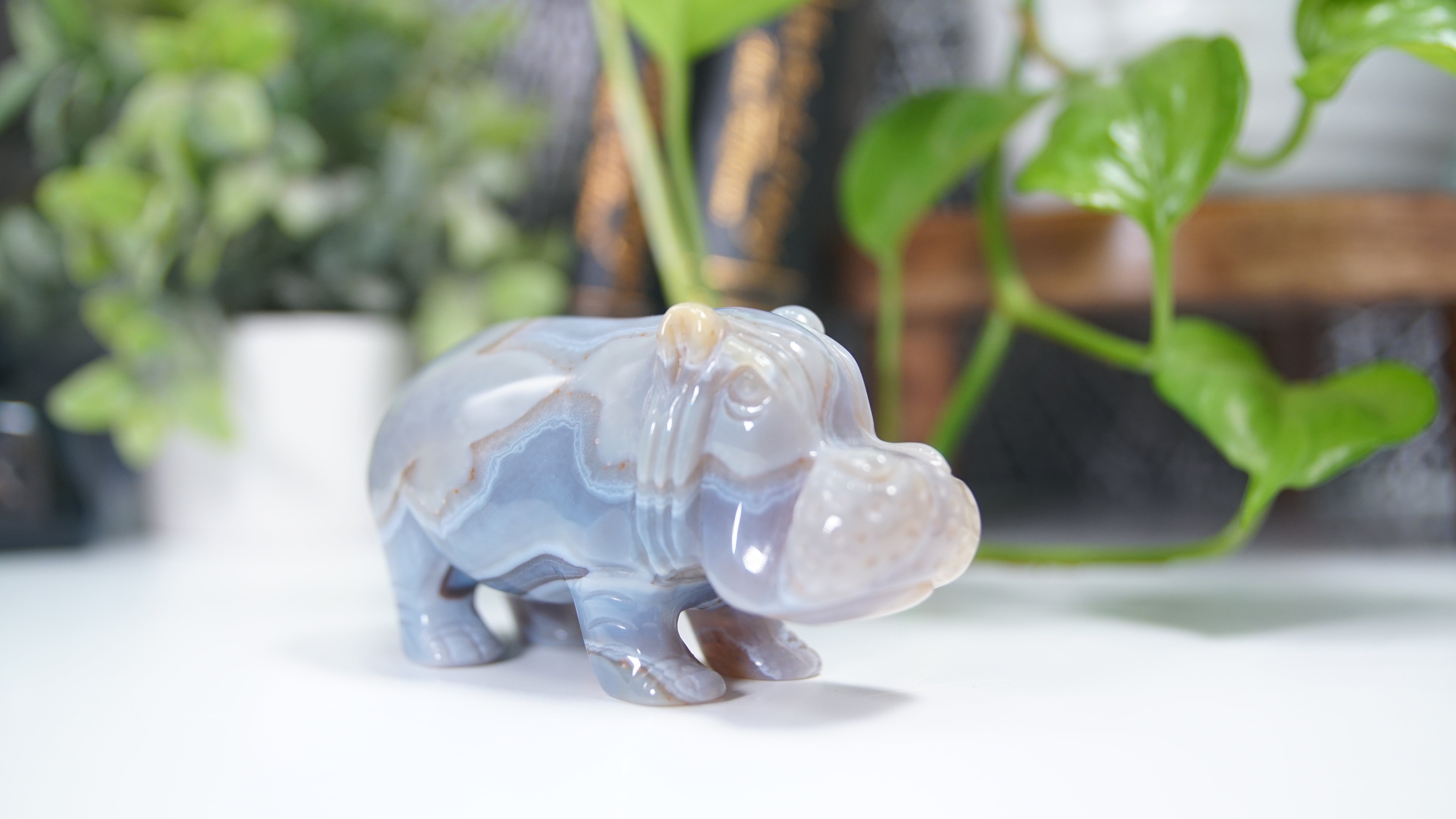 Druzy Agate Hippo Boutique Carving