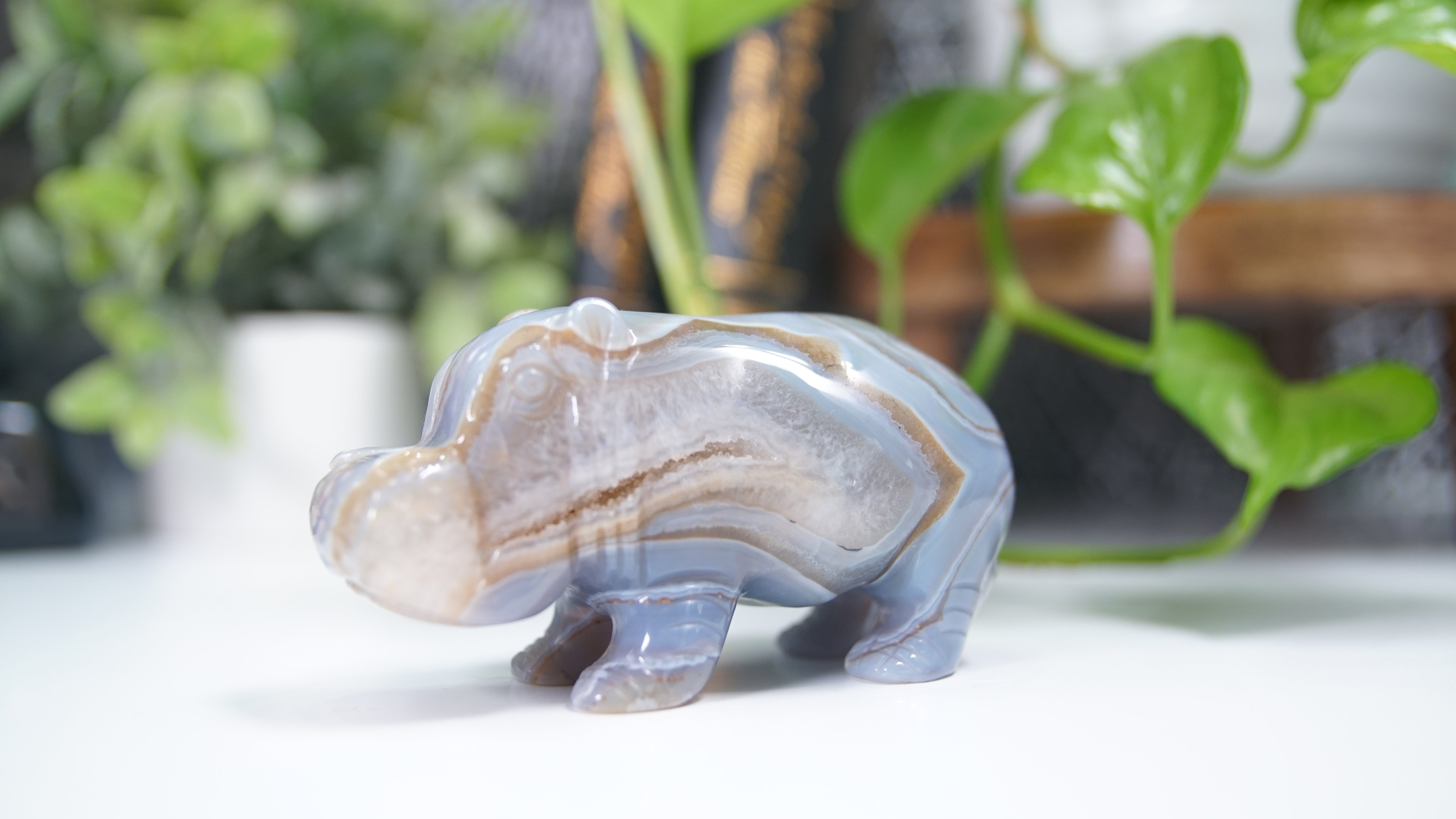 Druzy Agate Hippo Boutique Carving