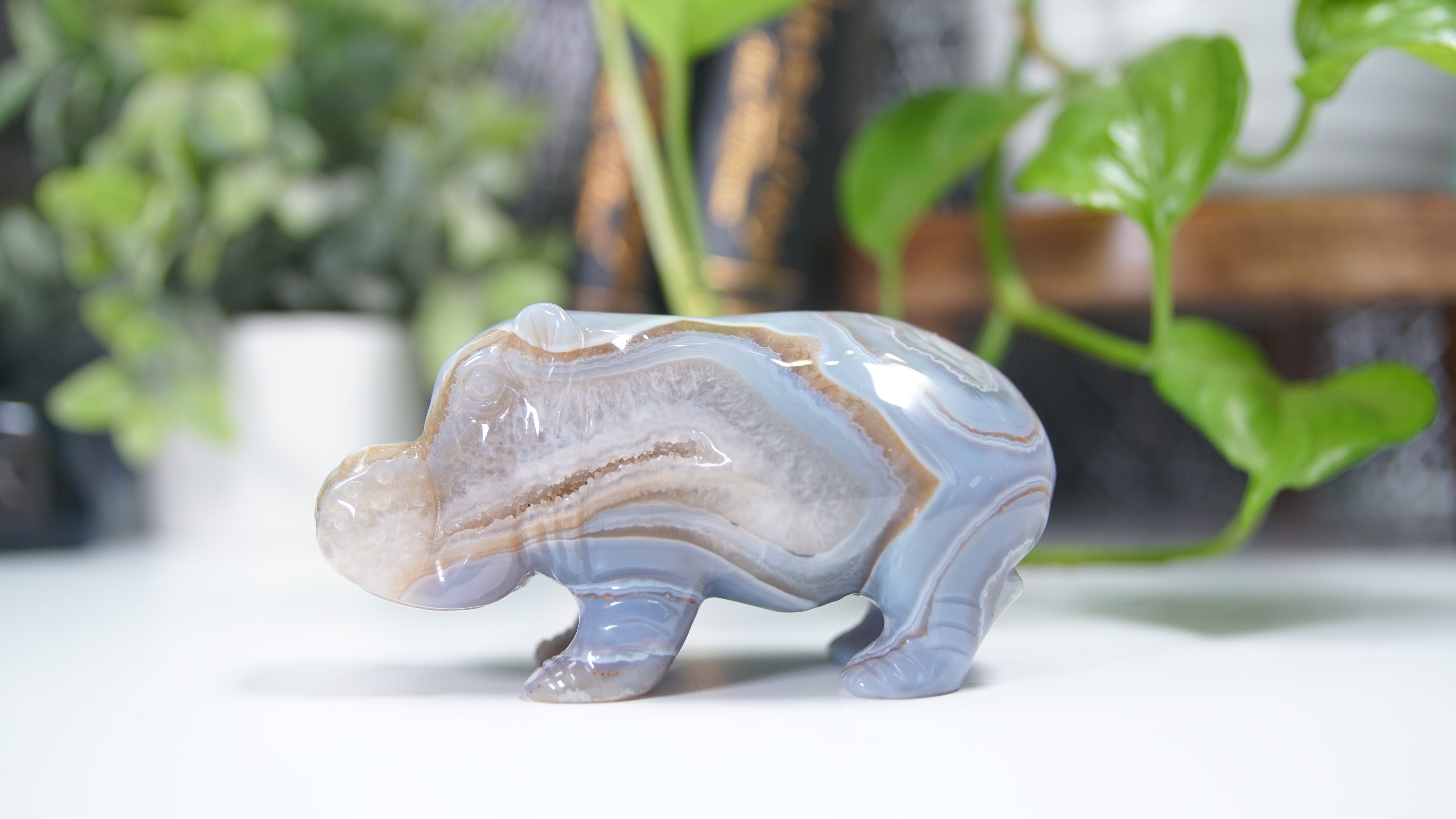 Druzy Agate Hippo Boutique Carving