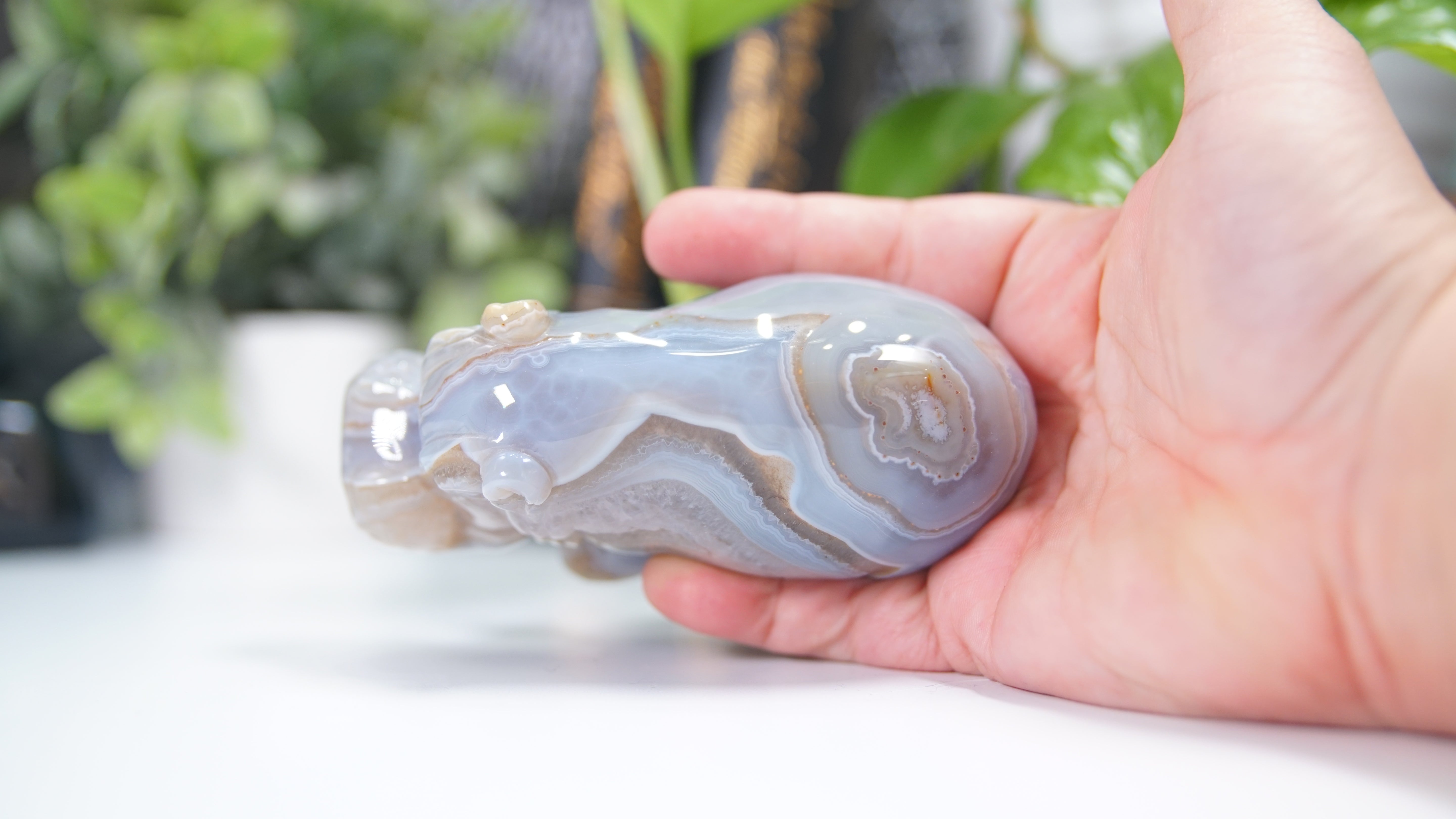 Druzy Agate Hippo Boutique Carving
