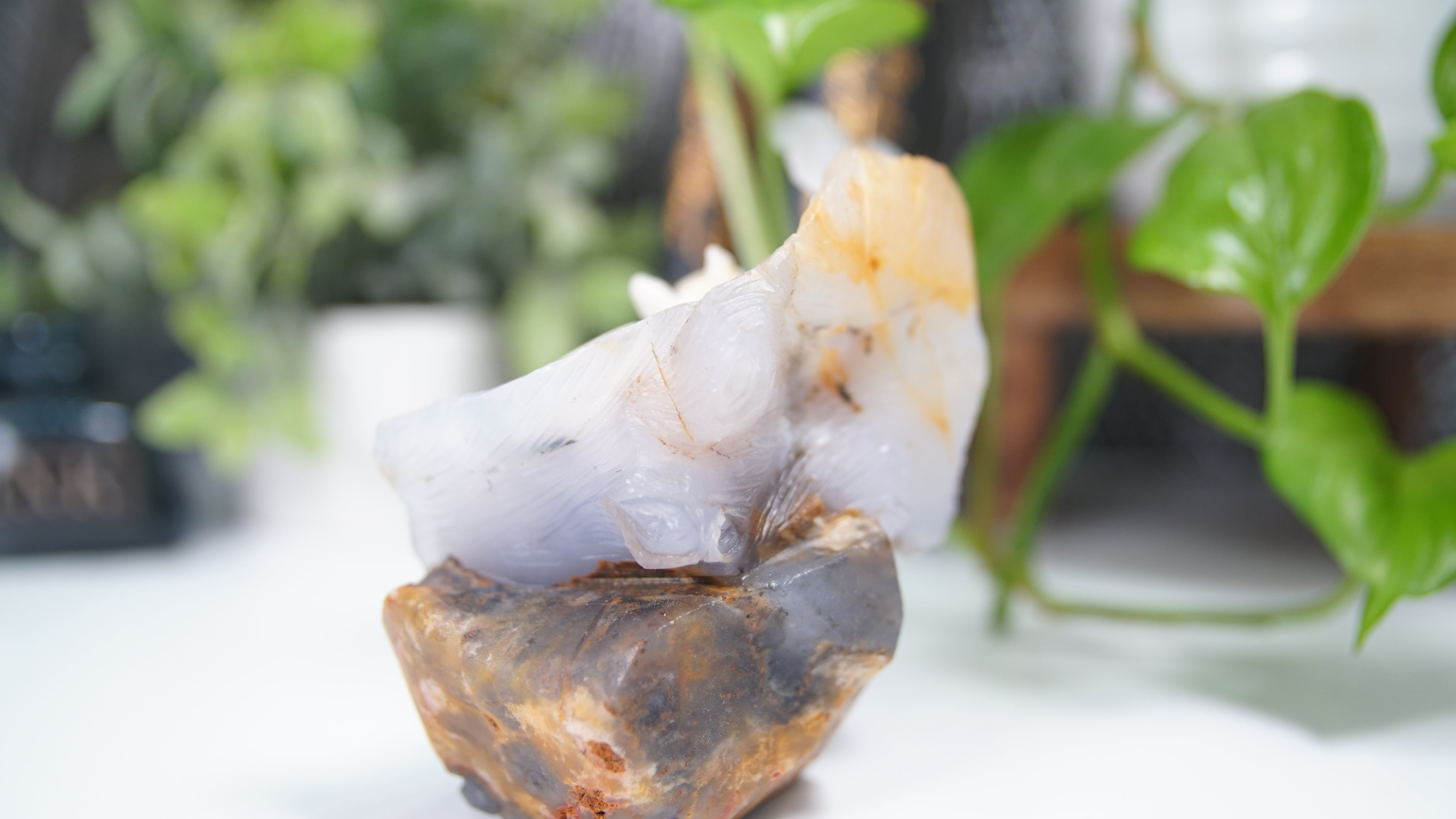 Master Carving - Blue Chalcedony Master Wu Carving - Squirrel In Log