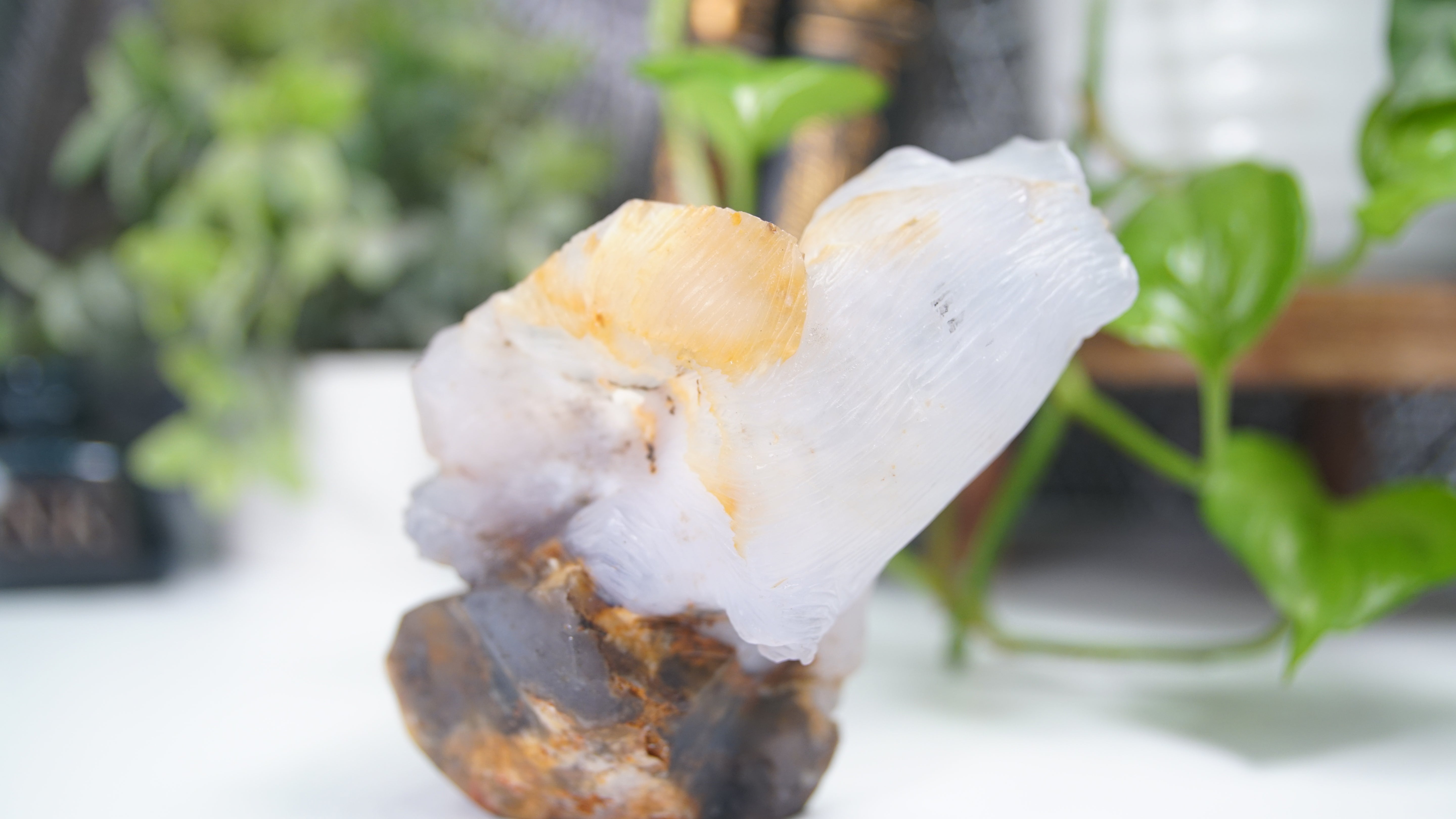 Master Carving - Blue Chalcedony Master Wu Carving - Squirrel In Log