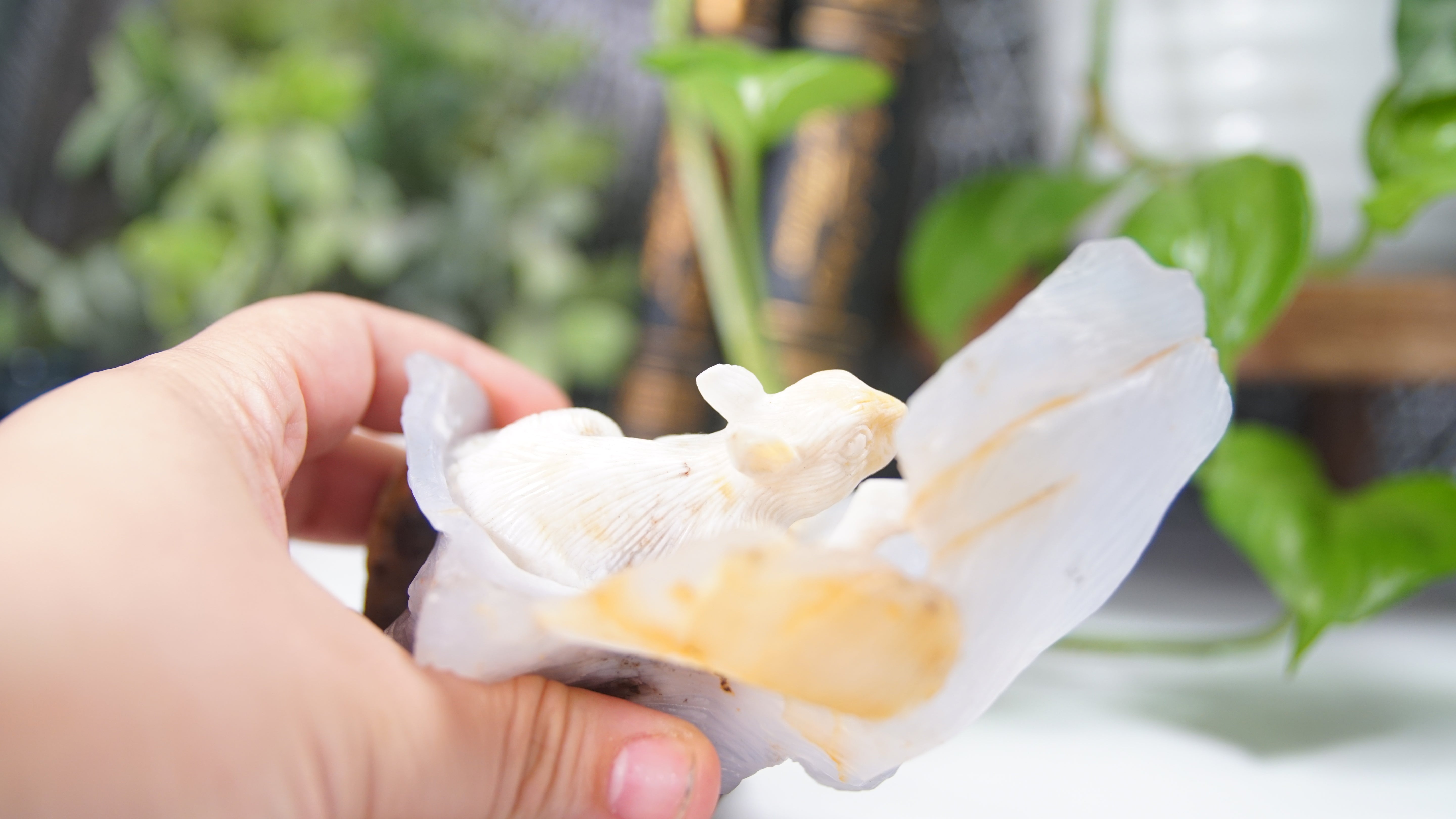 Master Carving - Blue Chalcedony Master Wu Carving - Squirrel In Log