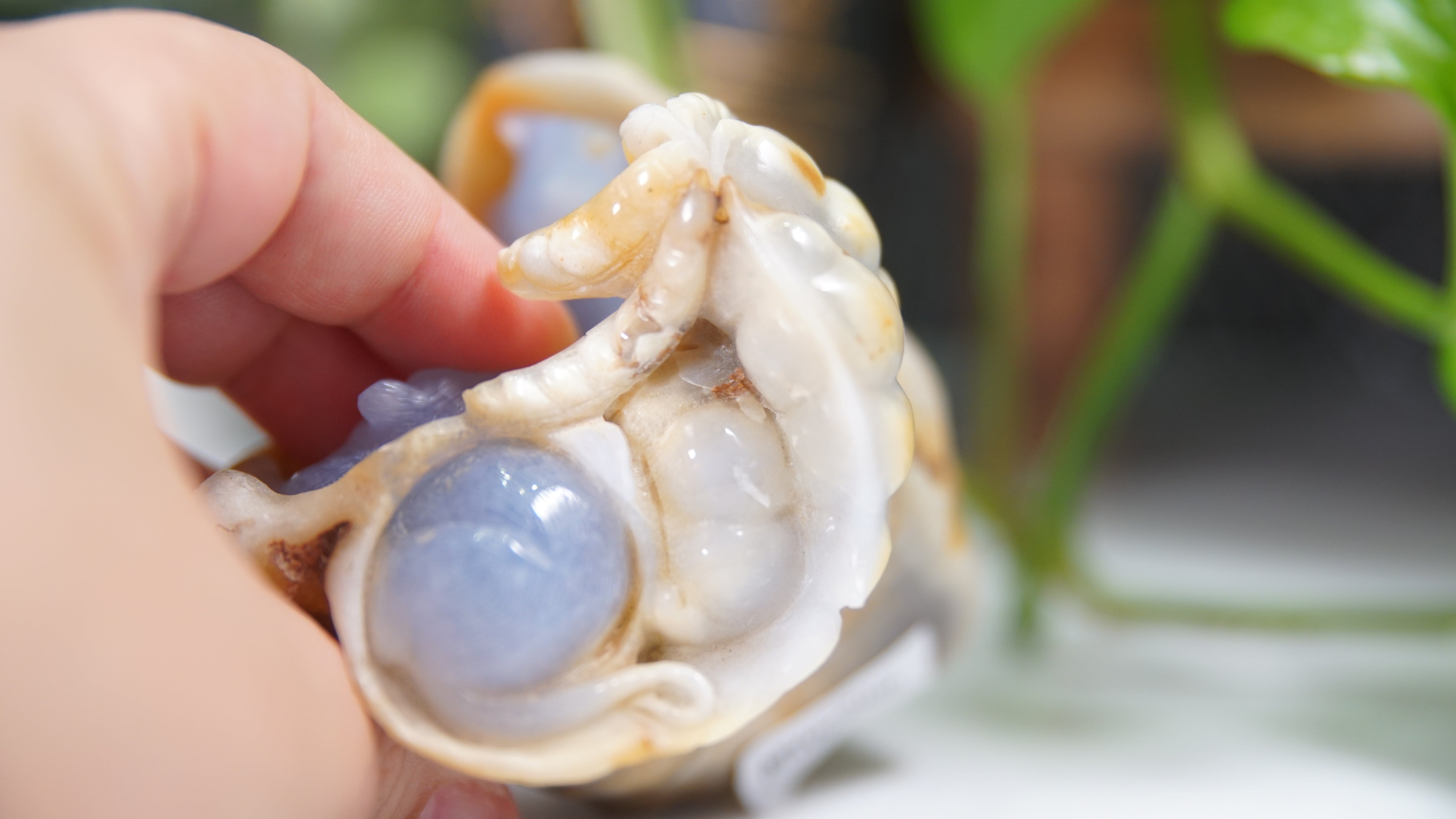 Master Carving - Blue Chalcedony Master Wu Carving - Mice In Burrow