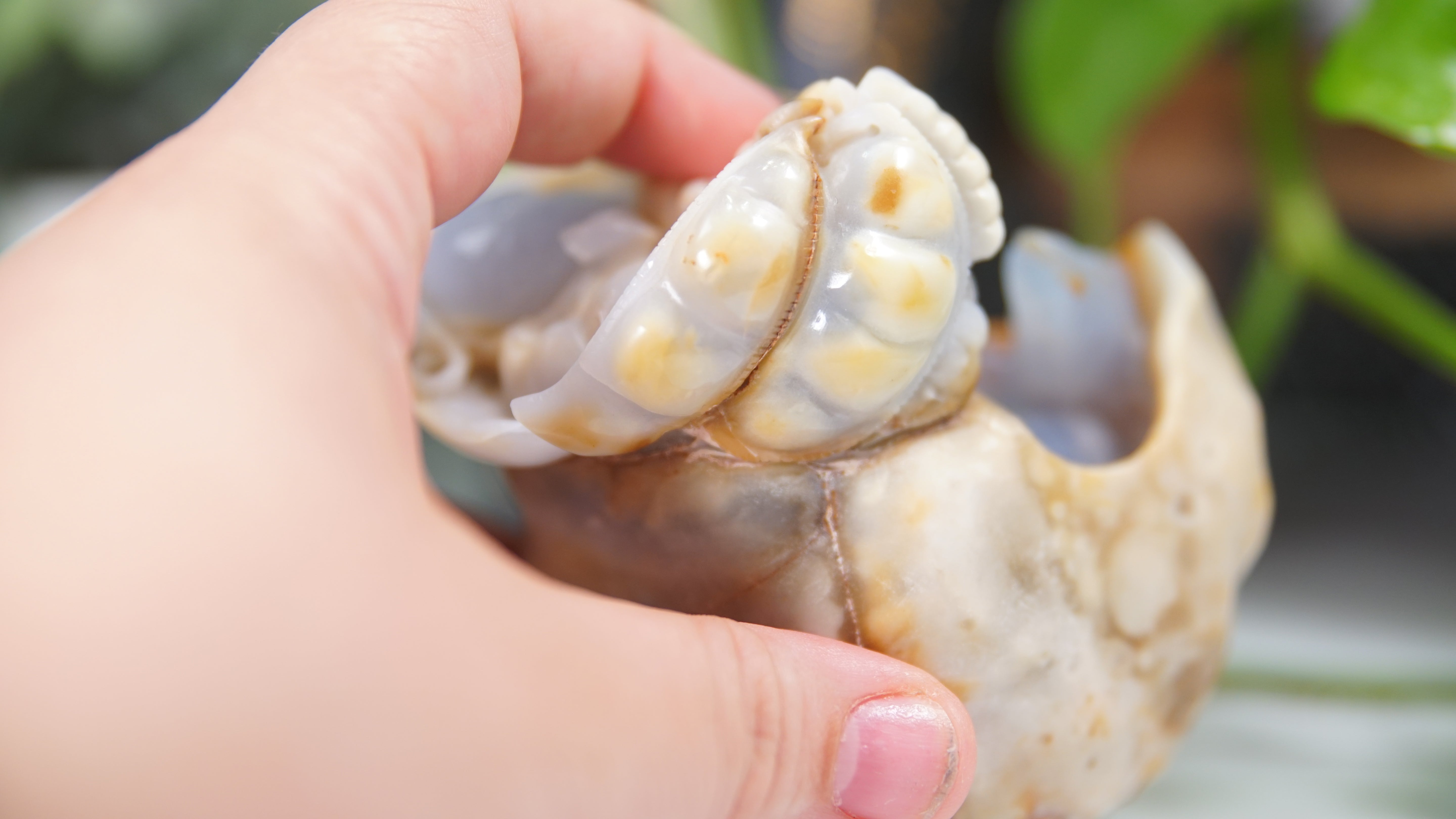 Master Carving - Blue Chalcedony Master Wu Carving - Mice In Burrow