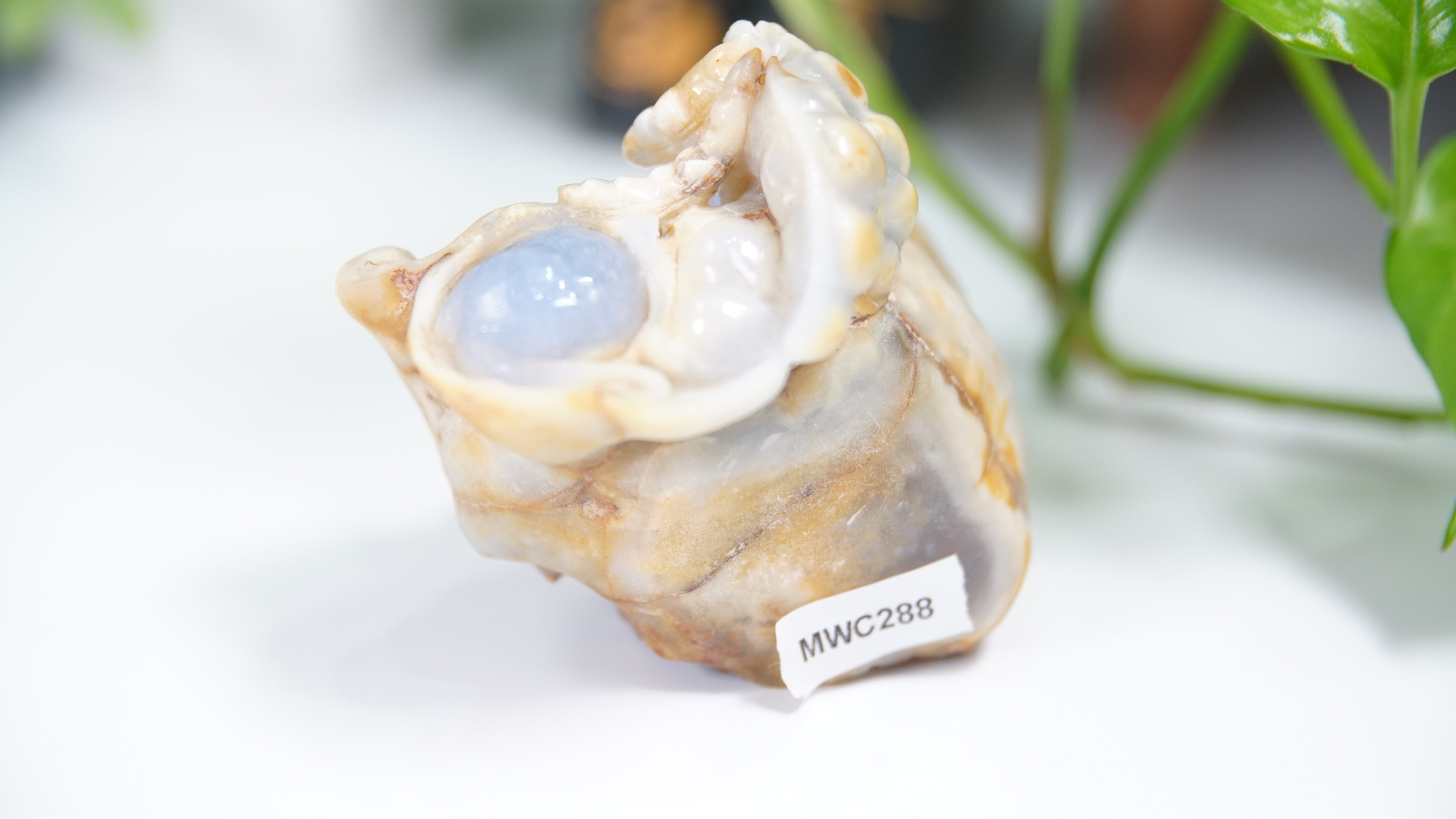 Master Carving - Blue Chalcedony Master Wu Carving - Mice In Burrow