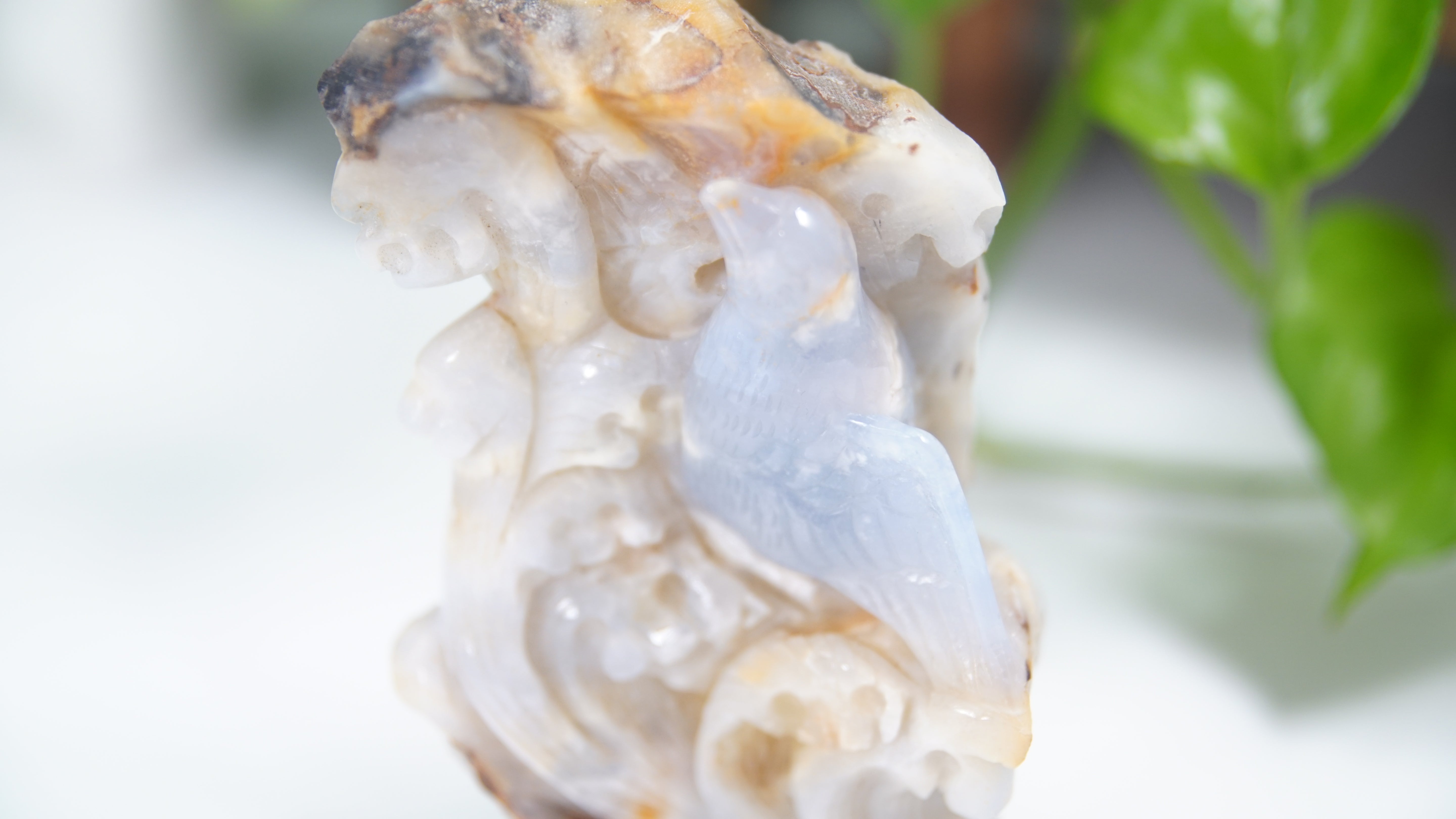 Master Carving - Blue Chalcedony Master Wu Carving - Crow On Branch