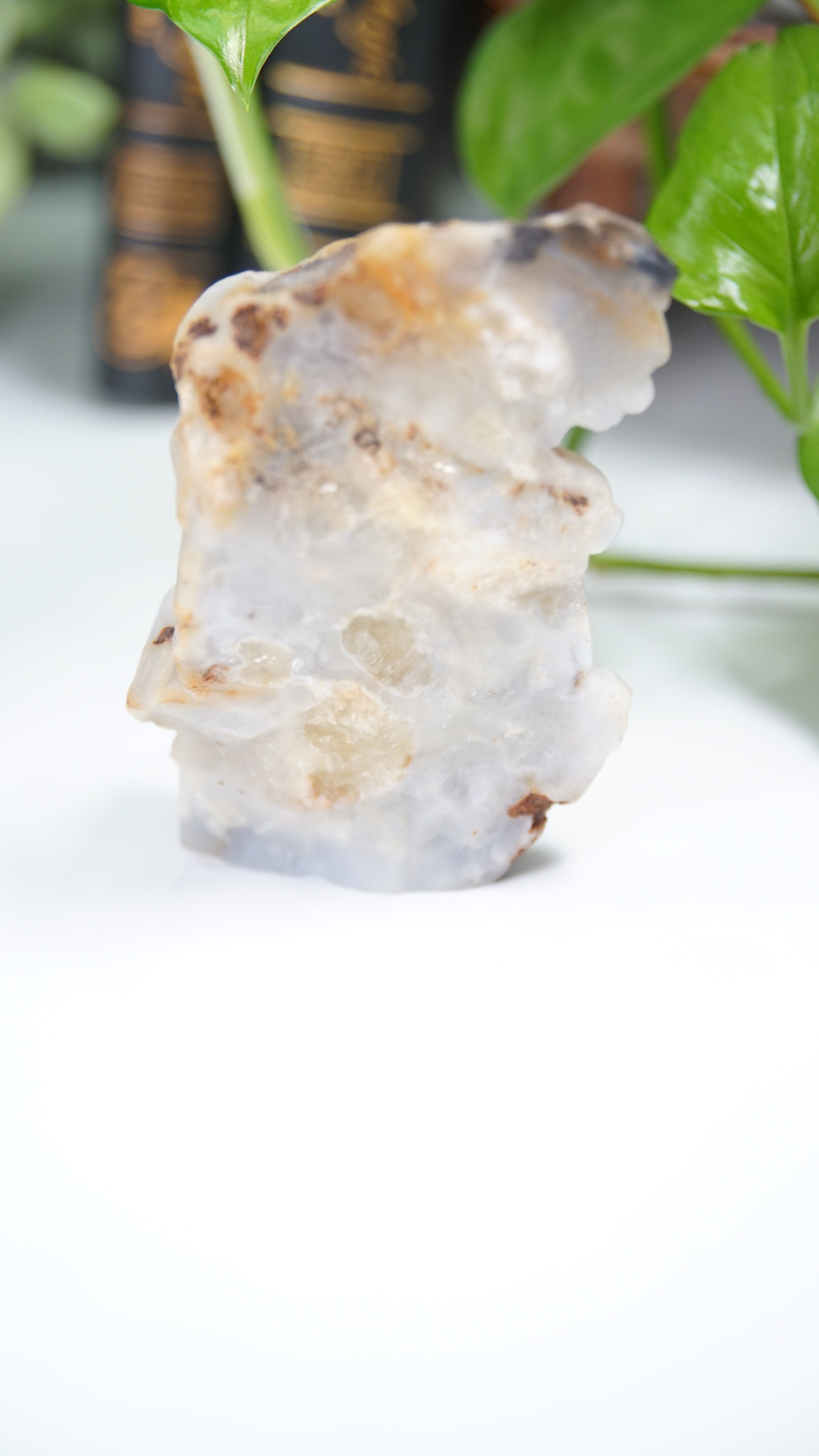 Master Carving - Blue Chalcedony Master Wu Carving - Crow On Branch