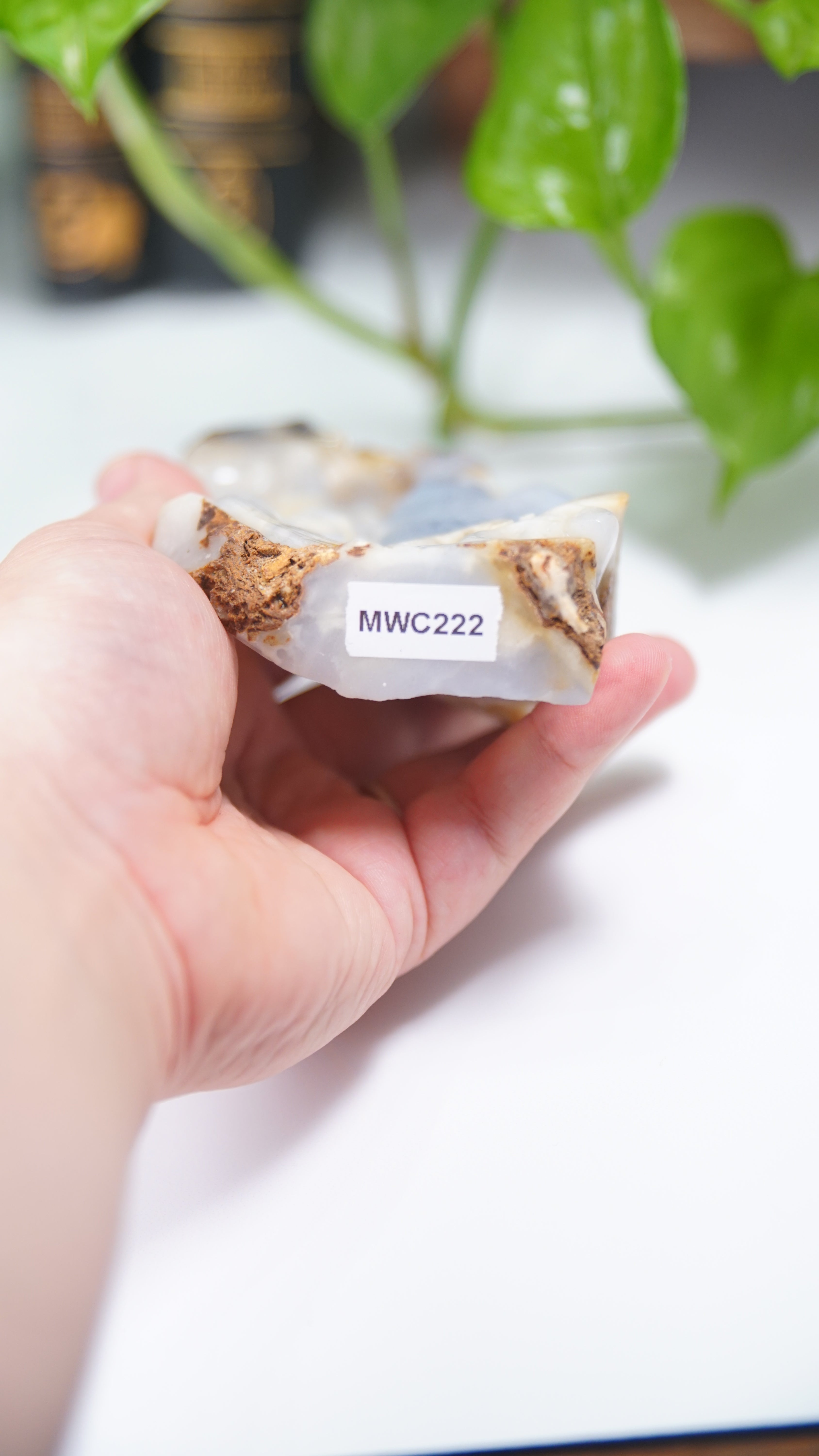 Master Carving - Blue Chalcedony Master Wu Carving - Crow On Branch