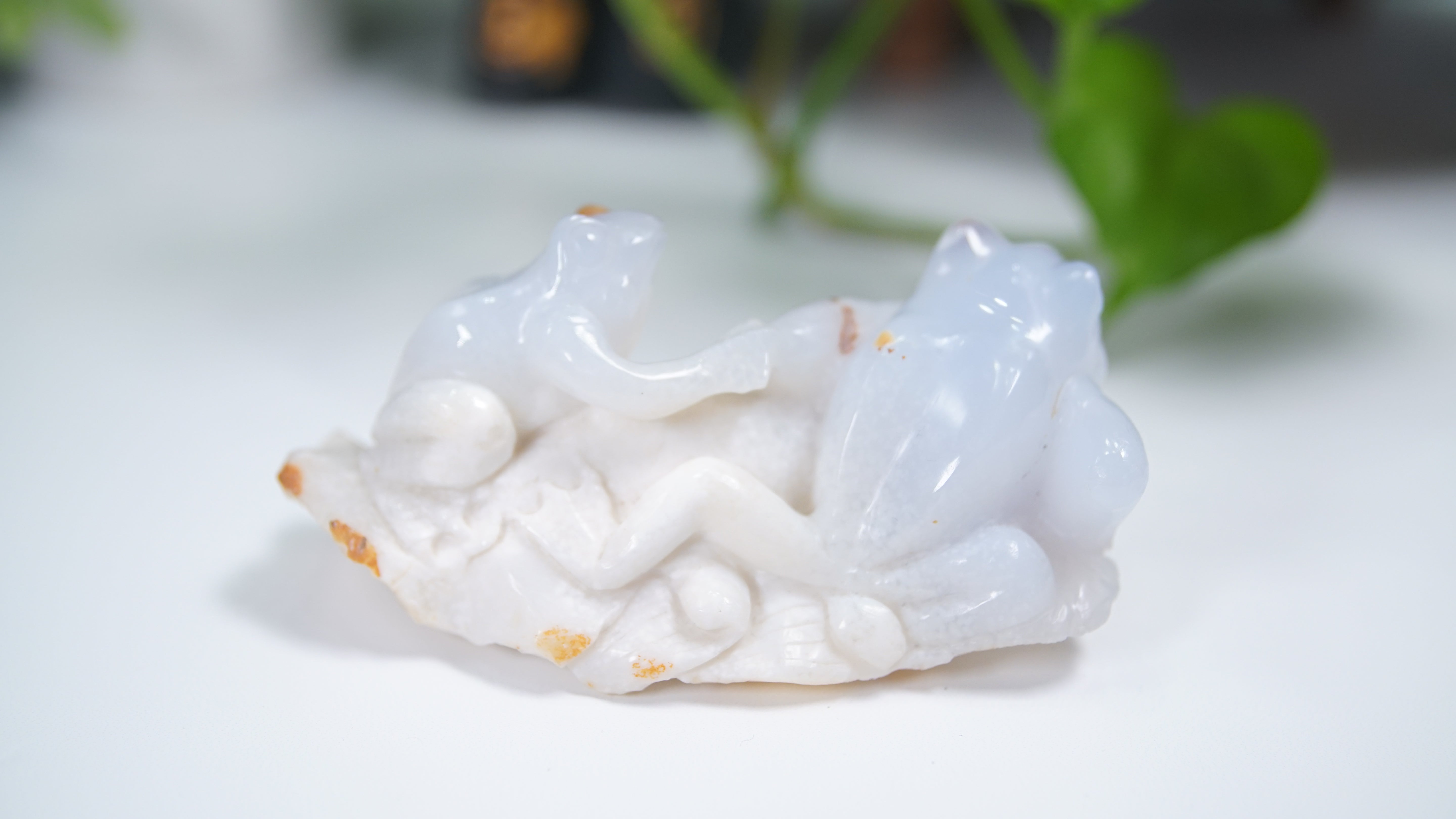 Master Carving - Blue Chalcedony Master Wu Carving - Frog Duo