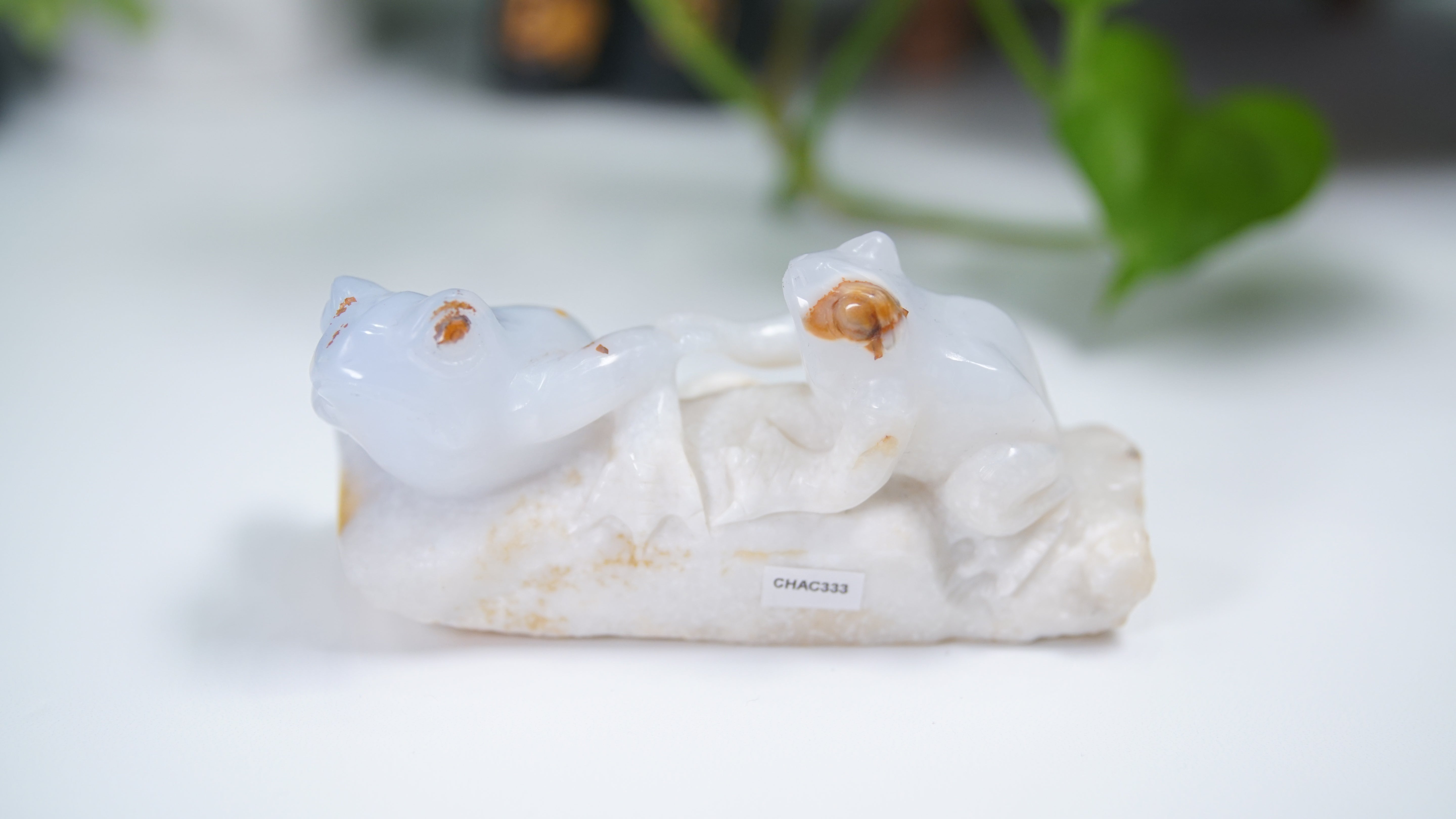 Master Carving - Blue Chalcedony Master Wu Carving - Frog Duo