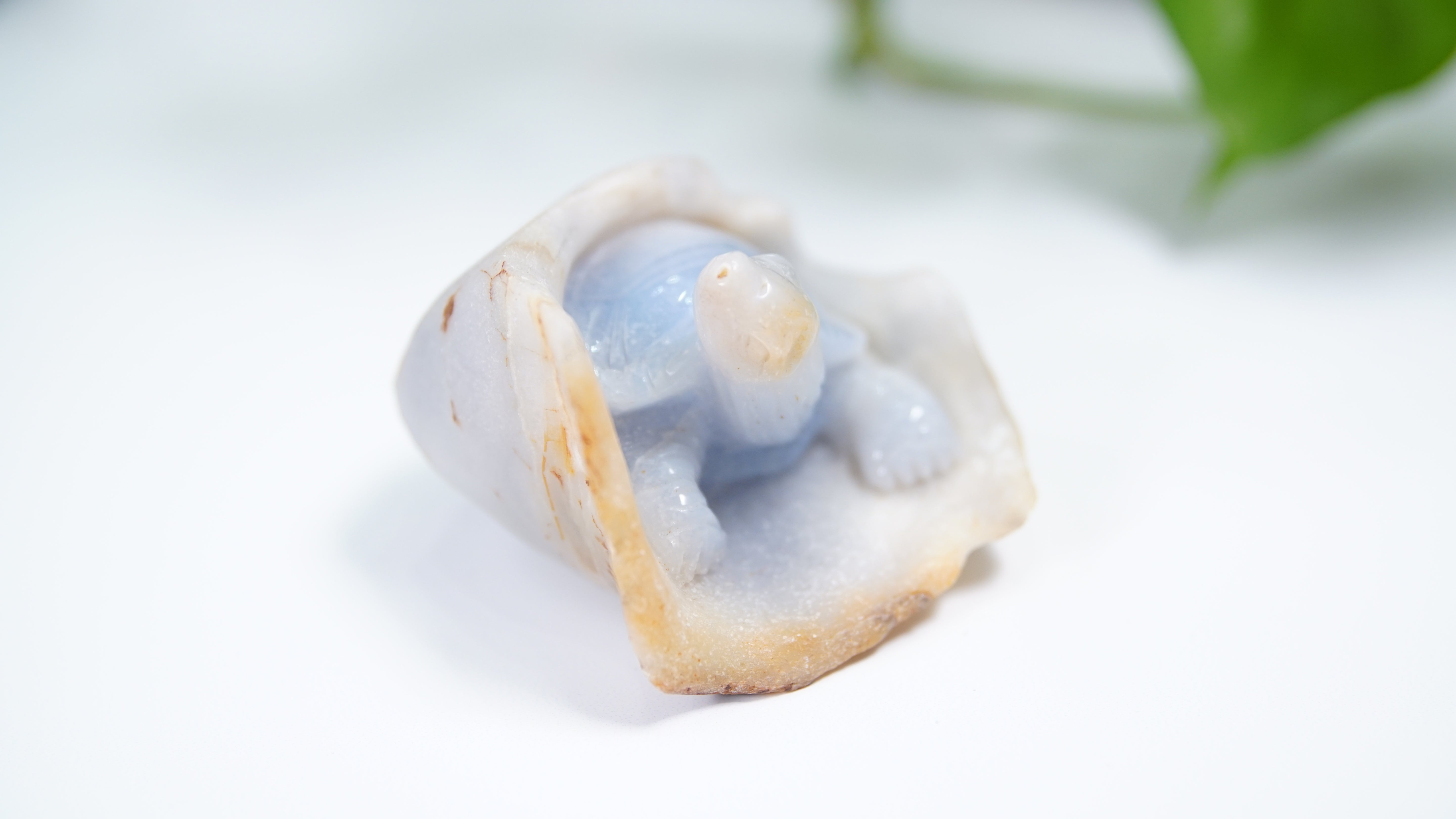 Master Carving - Blue Chalcedony Master Wu Carving - Turtle In Burrow