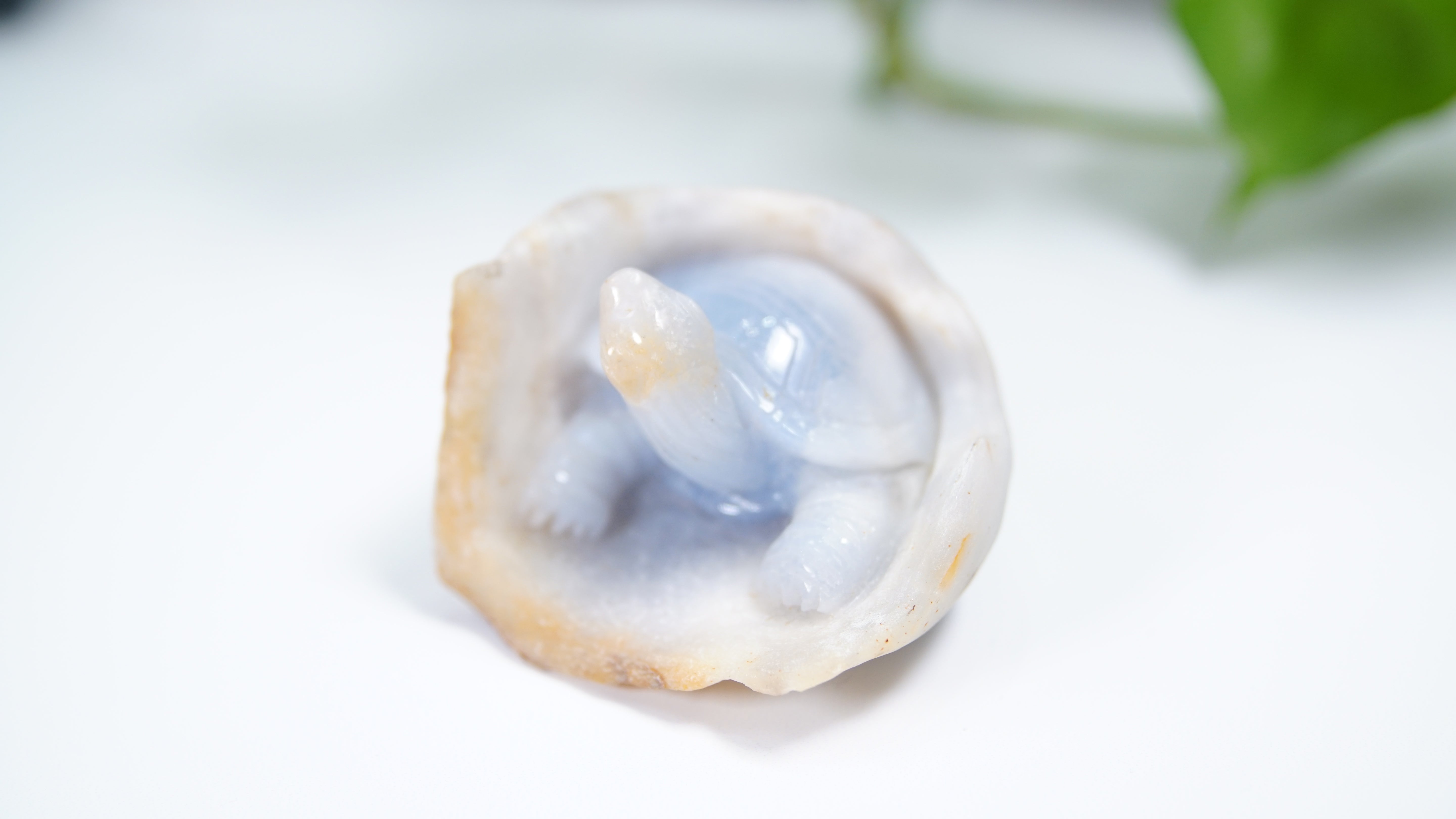 Master Carving - Blue Chalcedony Master Wu Carving - Turtle In Burrow