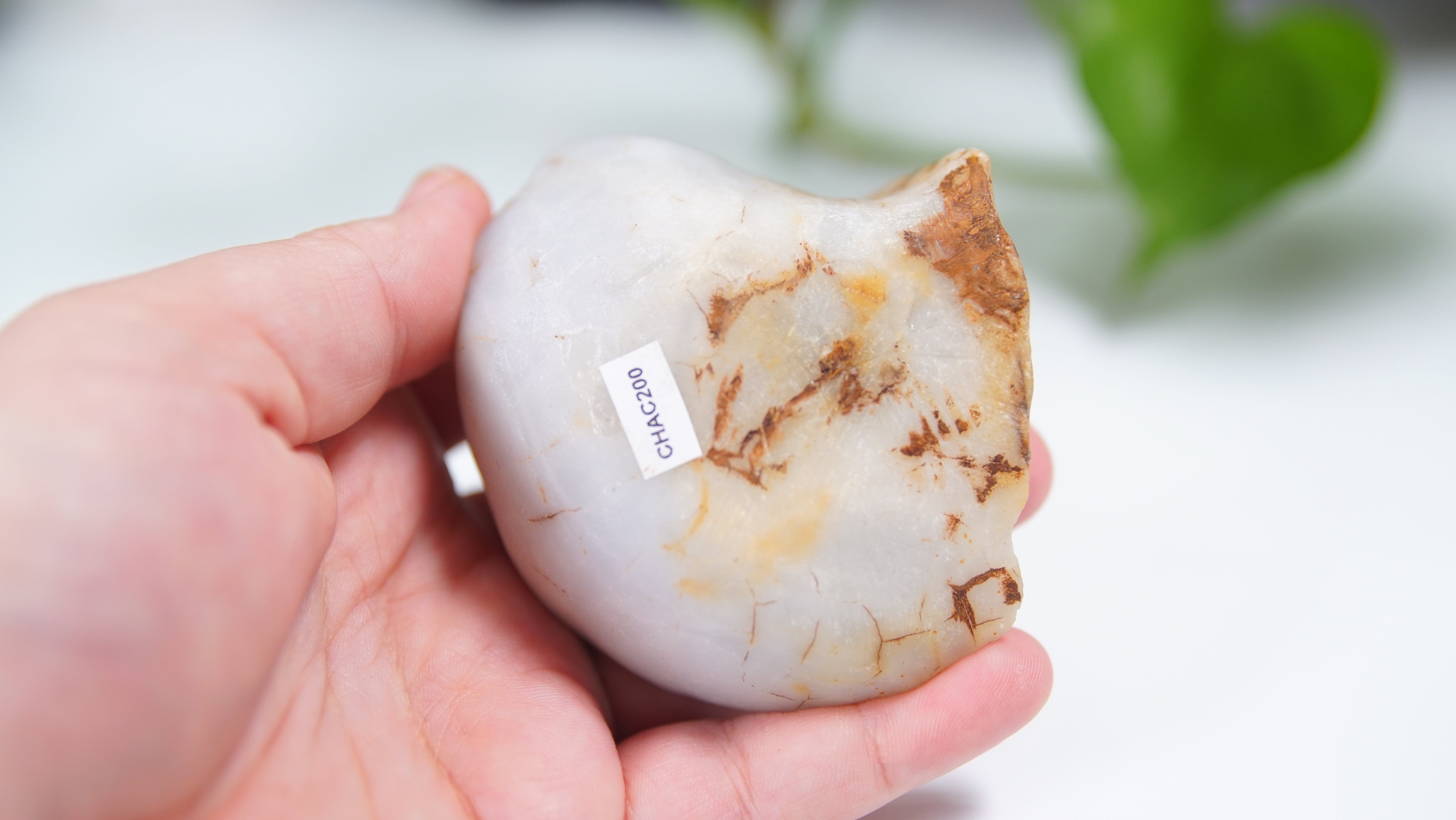 Master Carving - Blue Chalcedony Master Wu Carving - Turtle In Burrow