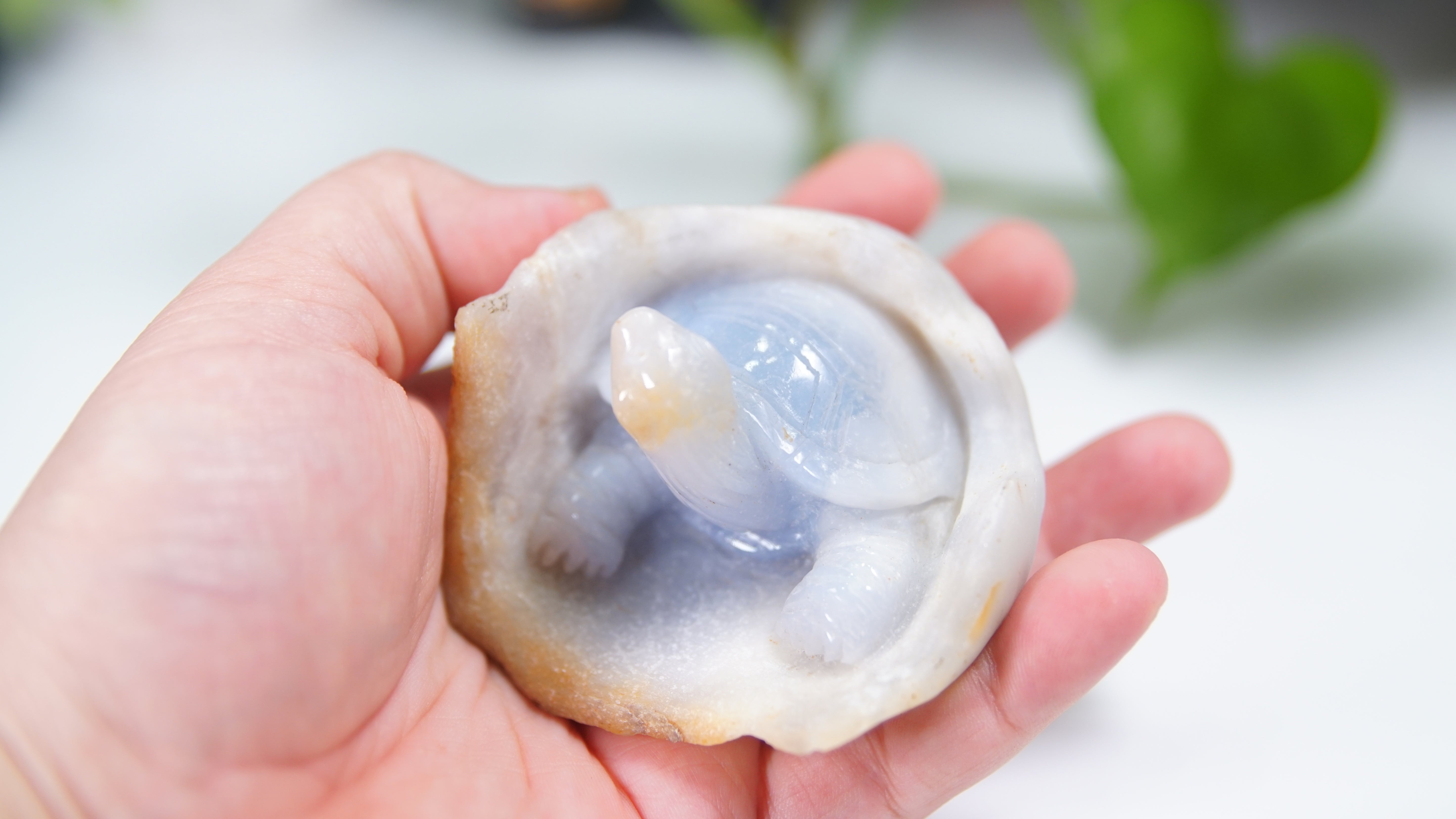 Master Carving - Blue Chalcedony Master Wu Carving - Turtle In Burrow