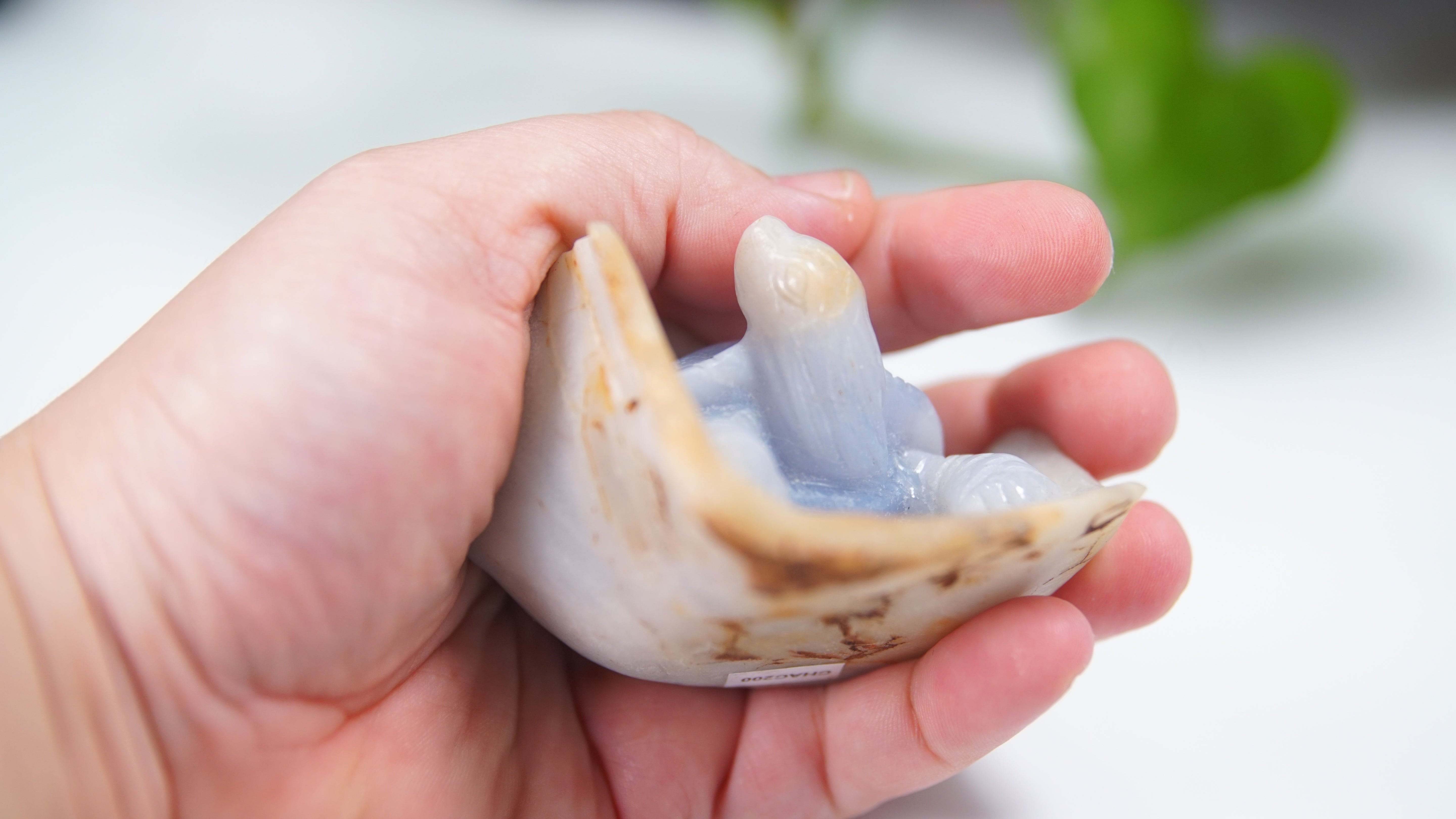 Master Carving - Blue Chalcedony Master Wu Carving - Turtle In Burrow