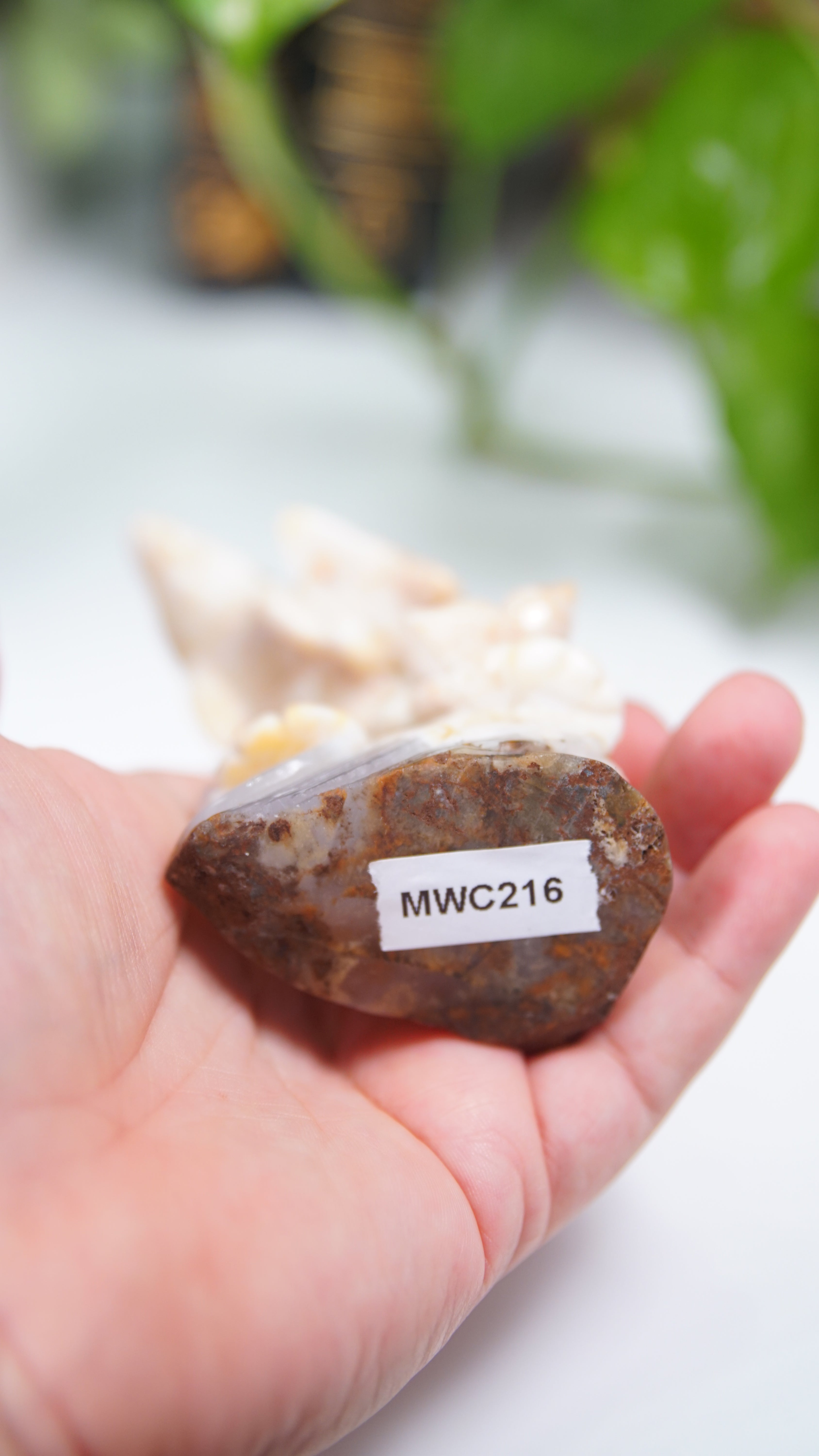 Master Carving - Blue Chalcedony Master Wu Carving - Dancing Dolphins