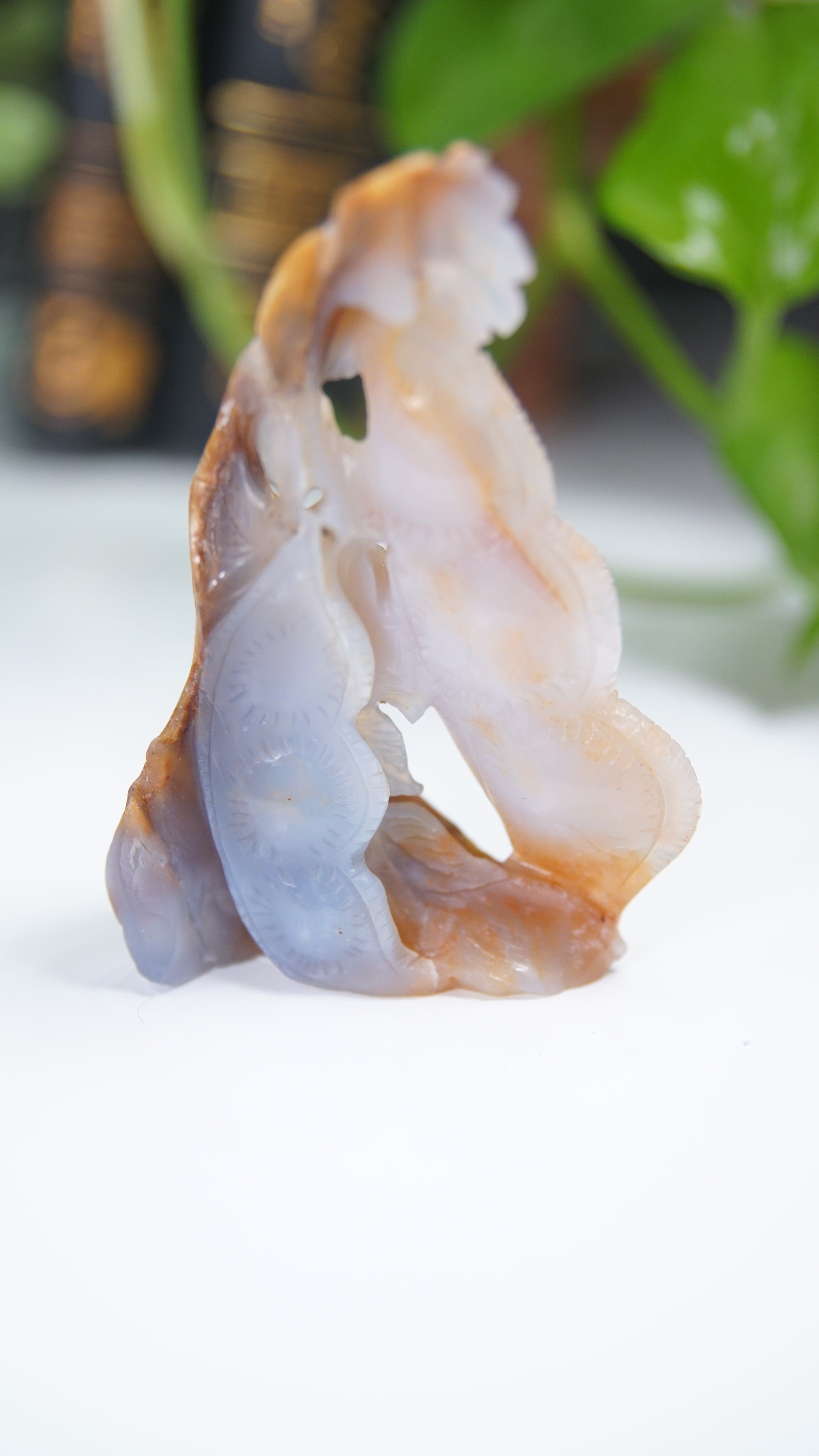 Master Carving - Blue Chalcedony Master Wu Carving - Little Bird In Peapods