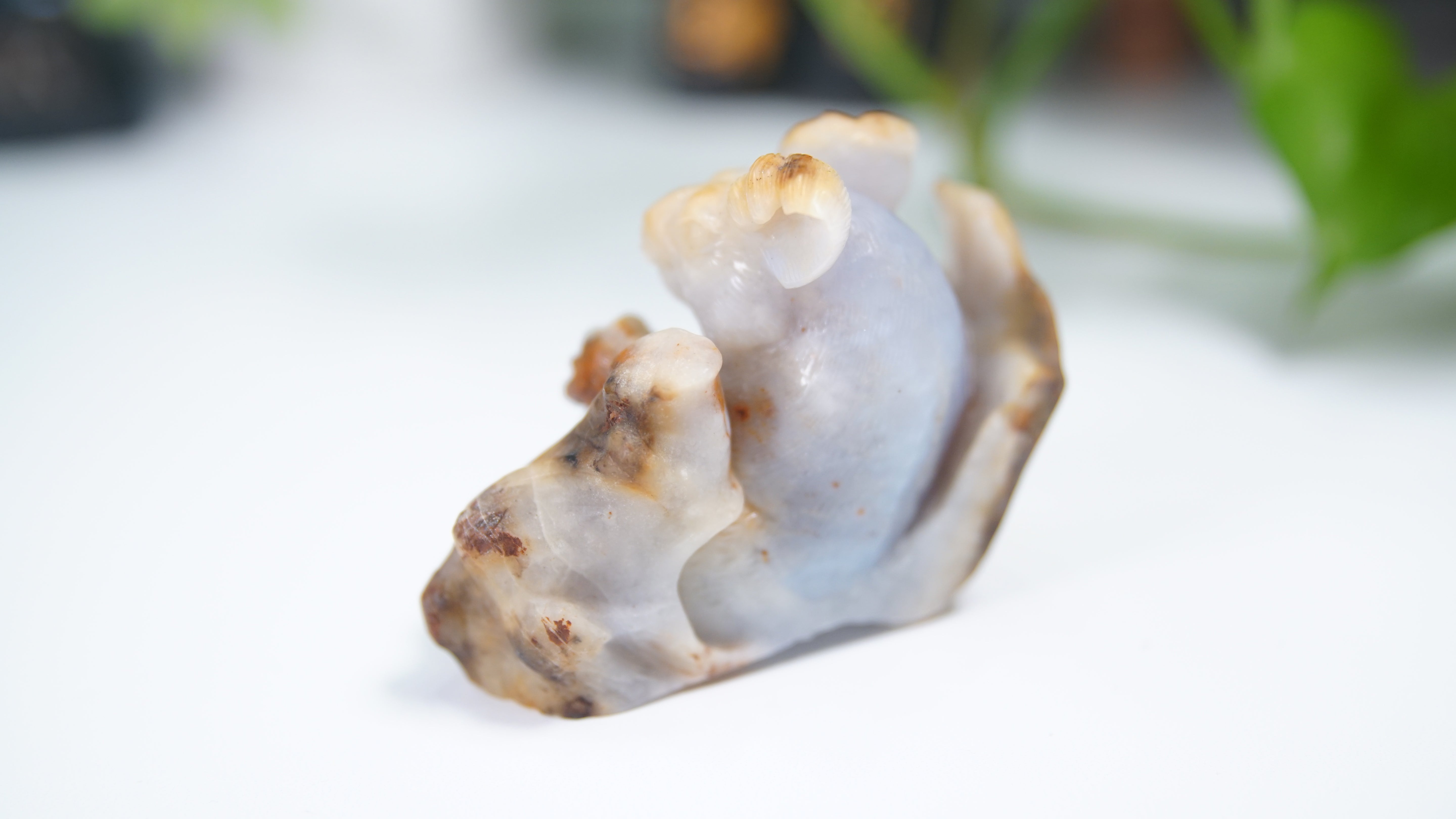 Master Carving - Blue Chalcedony Master Wu Carving - Sitting Koala