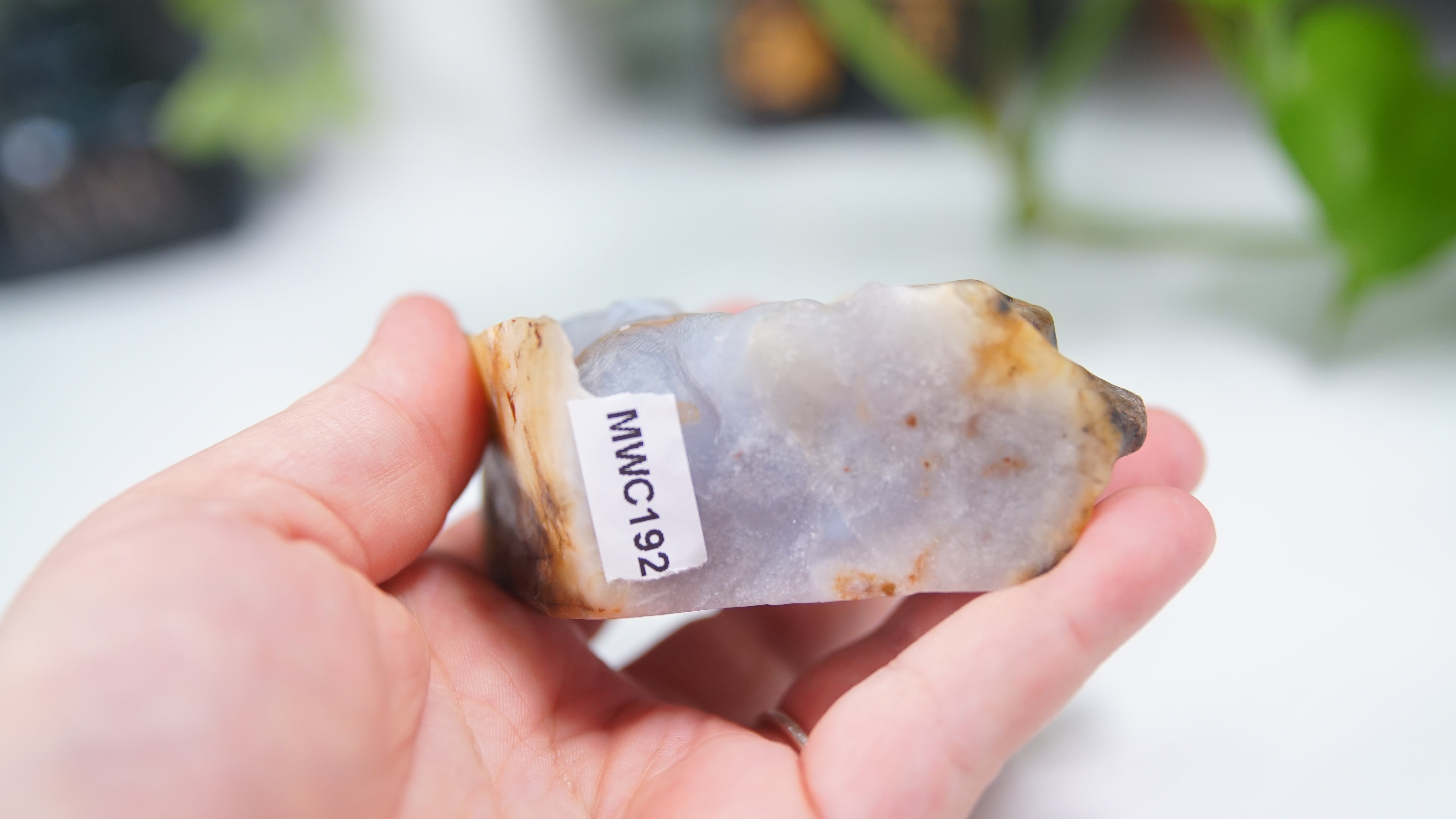 Master Carving - Blue Chalcedony Master Wu Carving - Sitting Koala