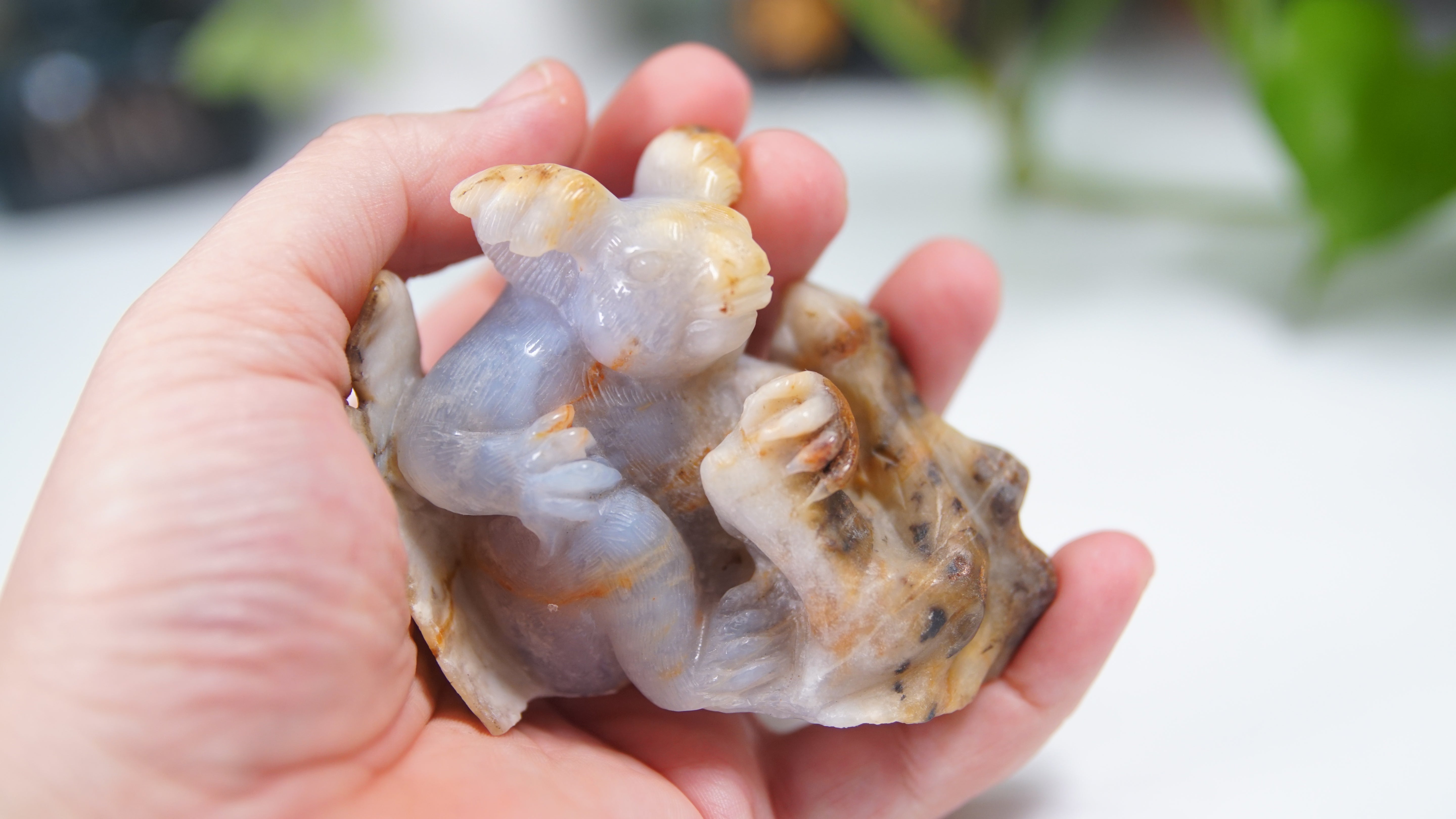 Master Carving - Blue Chalcedony Master Wu Carving - Sitting Koala