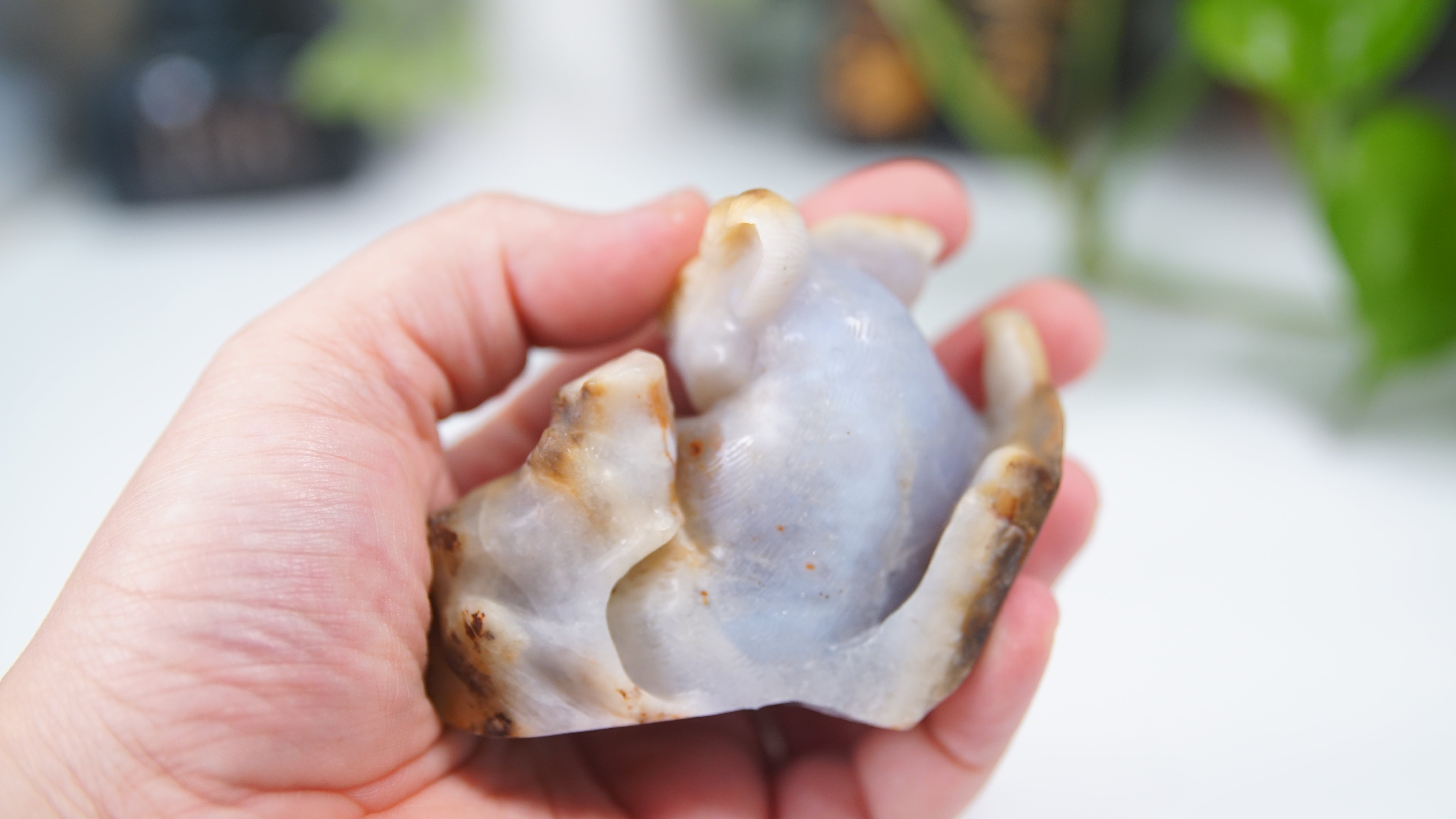 Master Carving - Blue Chalcedony Master Wu Carving - Sitting Koala