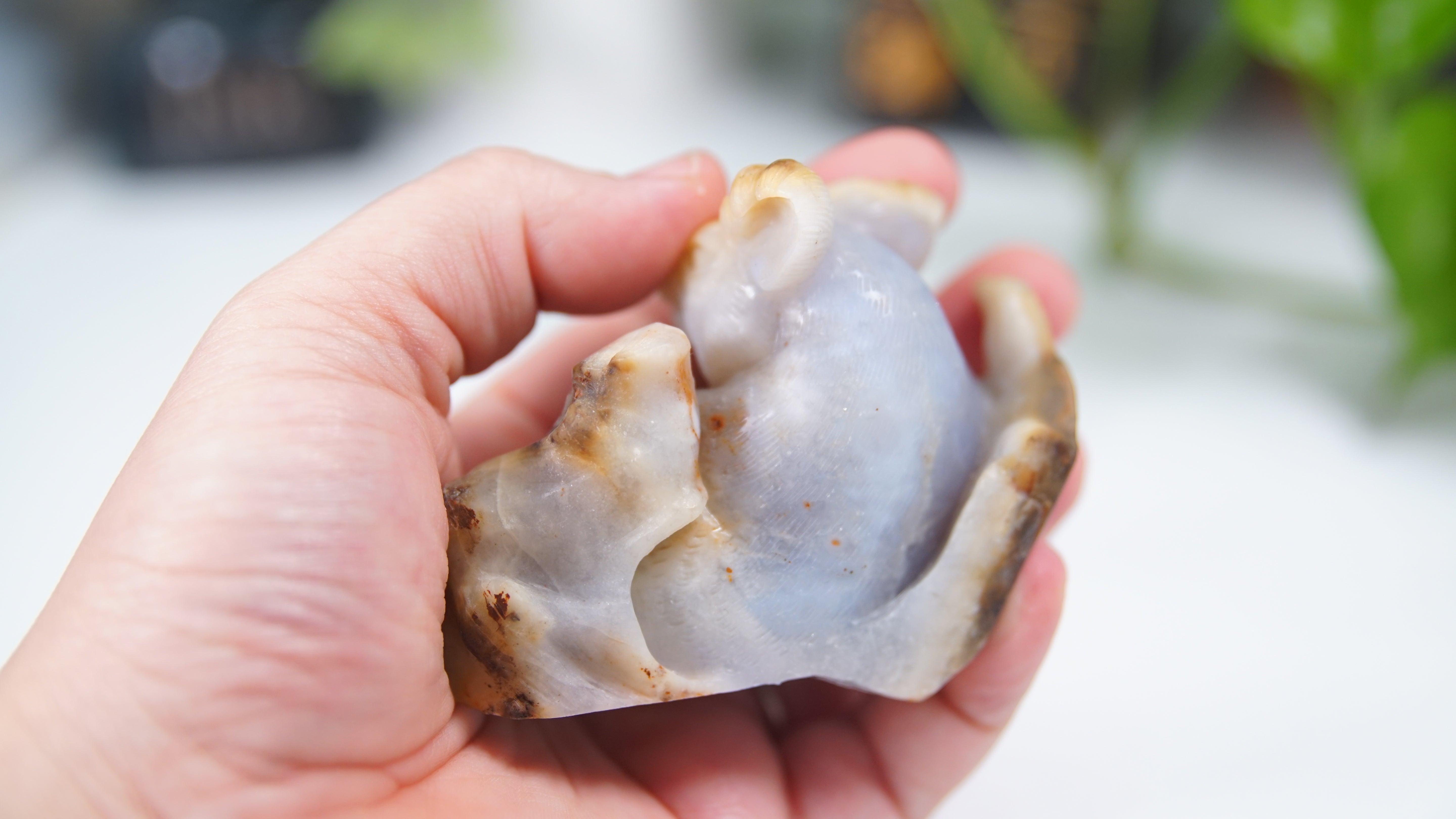 Master Carving - Blue Chalcedony Master Wu Carving - Sitting Koala